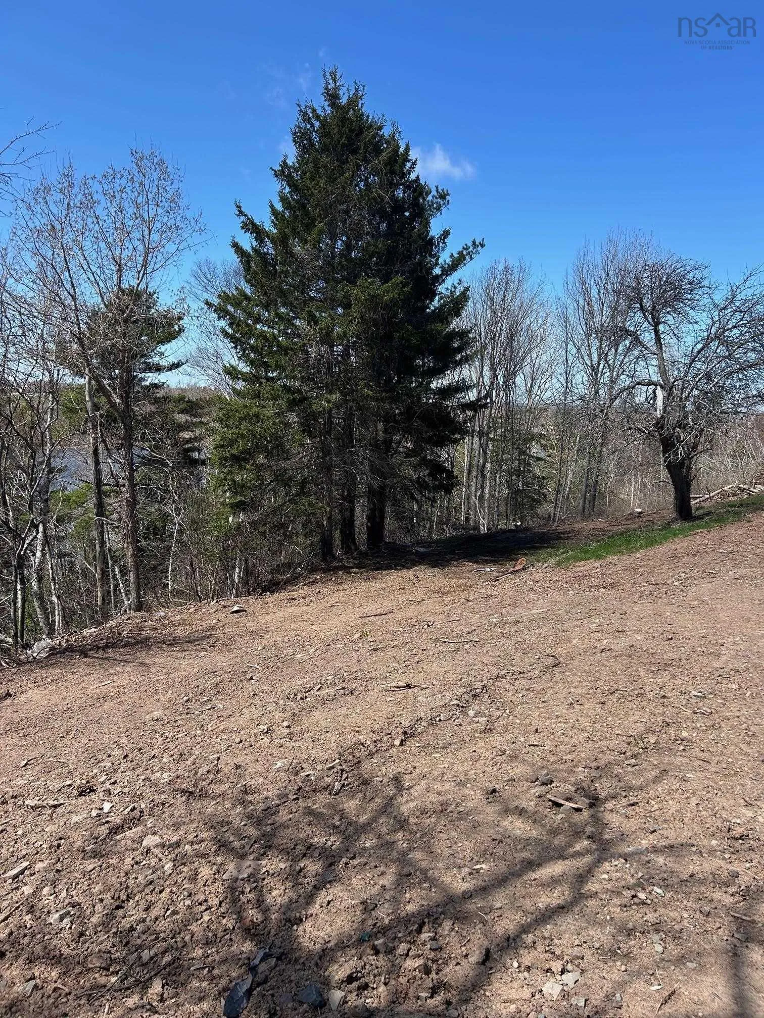 99 Shore Road, Sutherlands River Ns B0k 1g0, 3 Bedrooms Bedrooms, ,1 BathroomBathrooms,Residential,For Sale,Shore,202510031