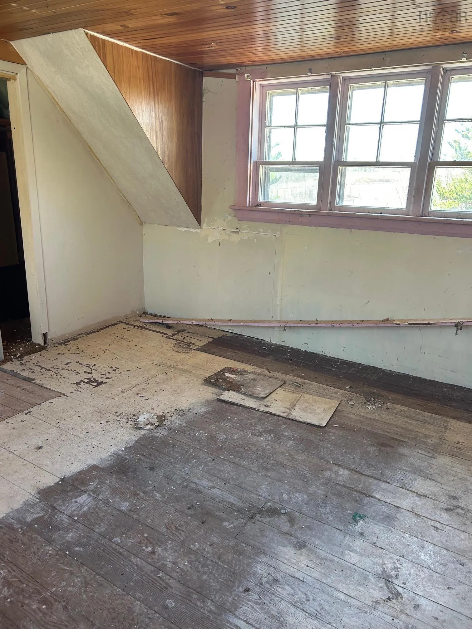 99 Shore Road, Sutherlands River Ns B0k 1g0, 3 Bedrooms Bedrooms, ,1 BathroomBathrooms,Residential,For Sale,Shore,202510031