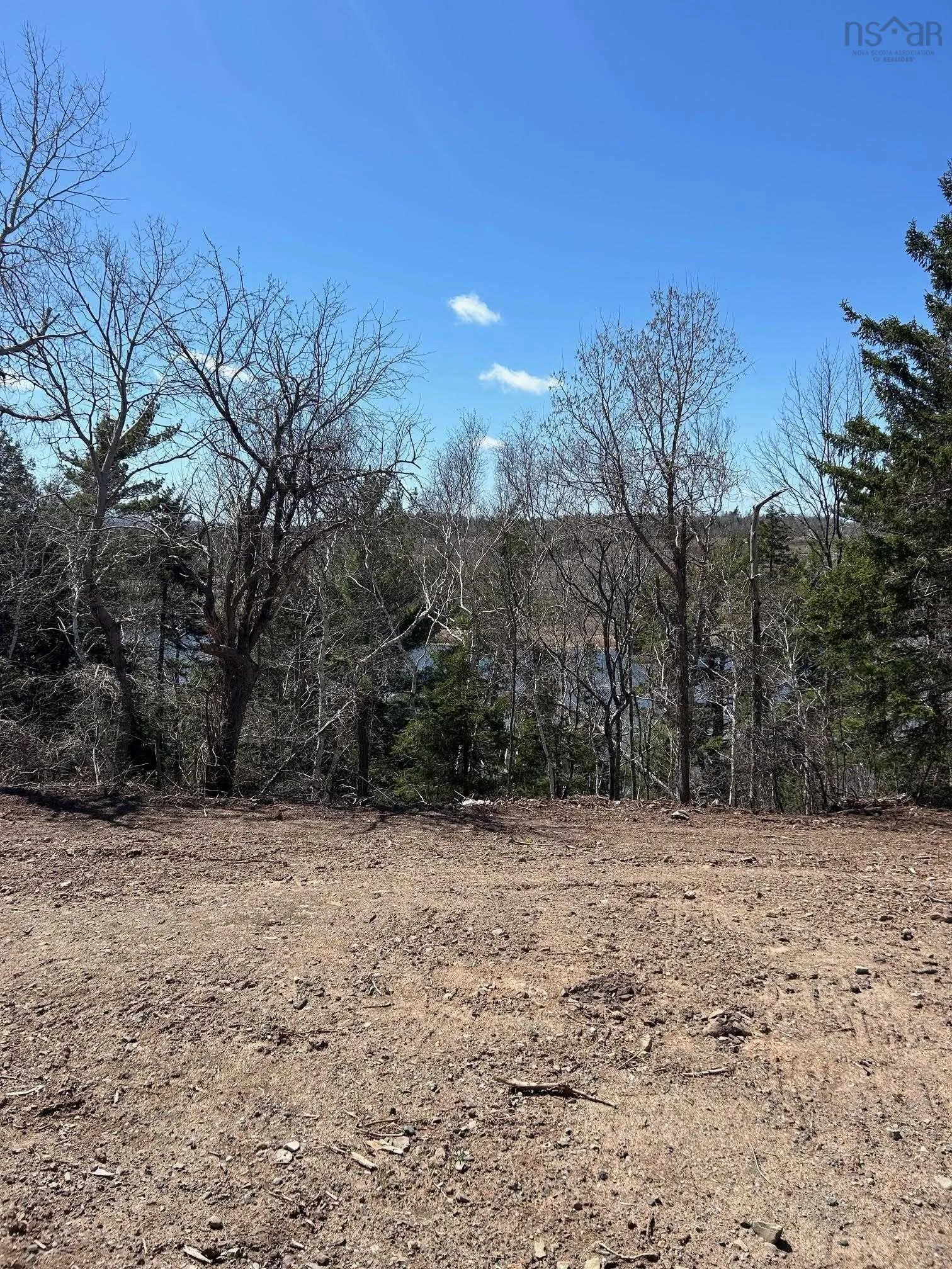 99 Shore Road, Sutherlands River Ns B0k 1g0, 3 Bedrooms Bedrooms, ,1 BathroomBathrooms,Residential,For Sale,Shore,202510031