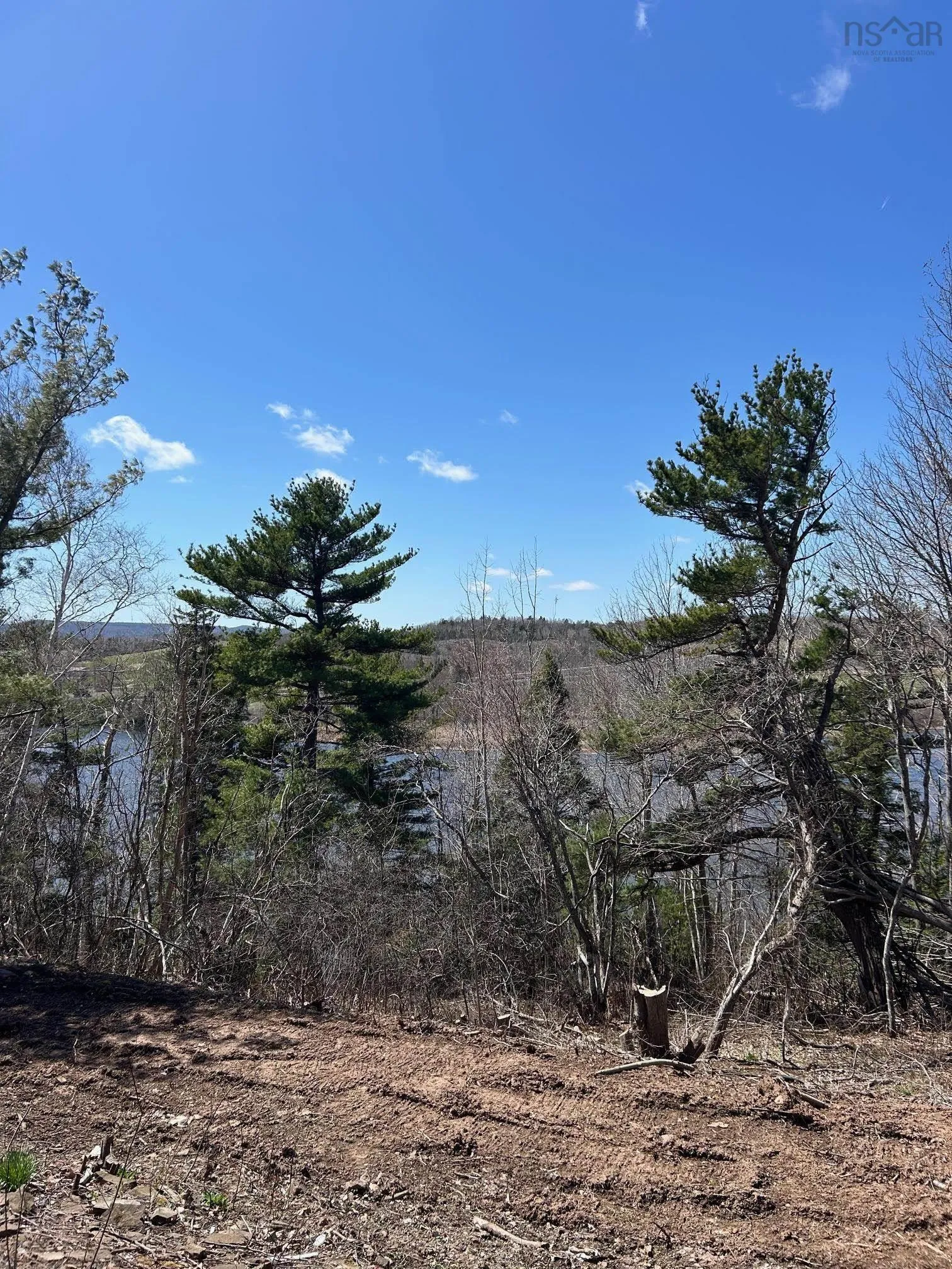 99 Shore Road, Sutherlands River Ns B0k 1g0, 3 Bedrooms Bedrooms, ,1 BathroomBathrooms,Residential,For Sale,Shore,202510031