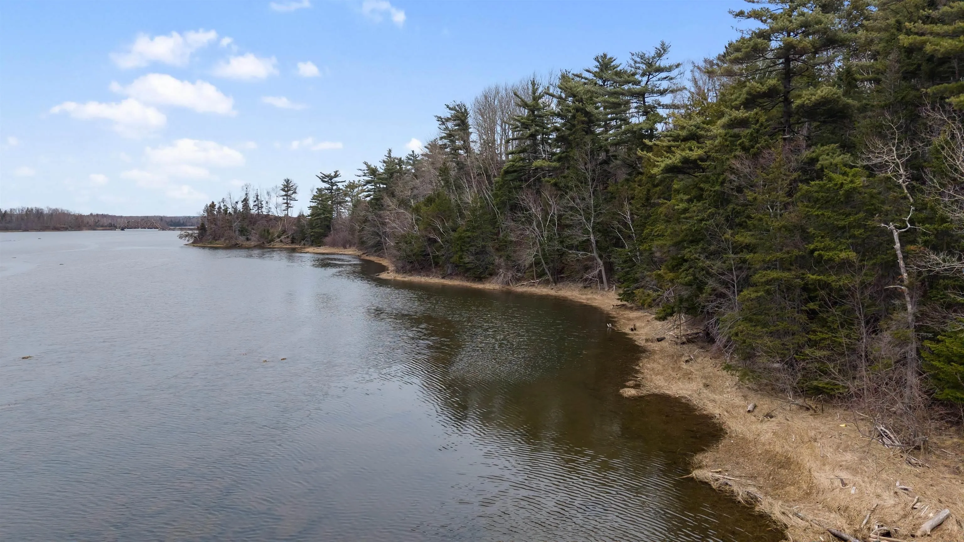 99 Shore Road, Sutherlands River Ns B0k 1g0, 3 Bedrooms Bedrooms, ,1 BathroomBathrooms,Residential,For Sale,Shore,202510031
