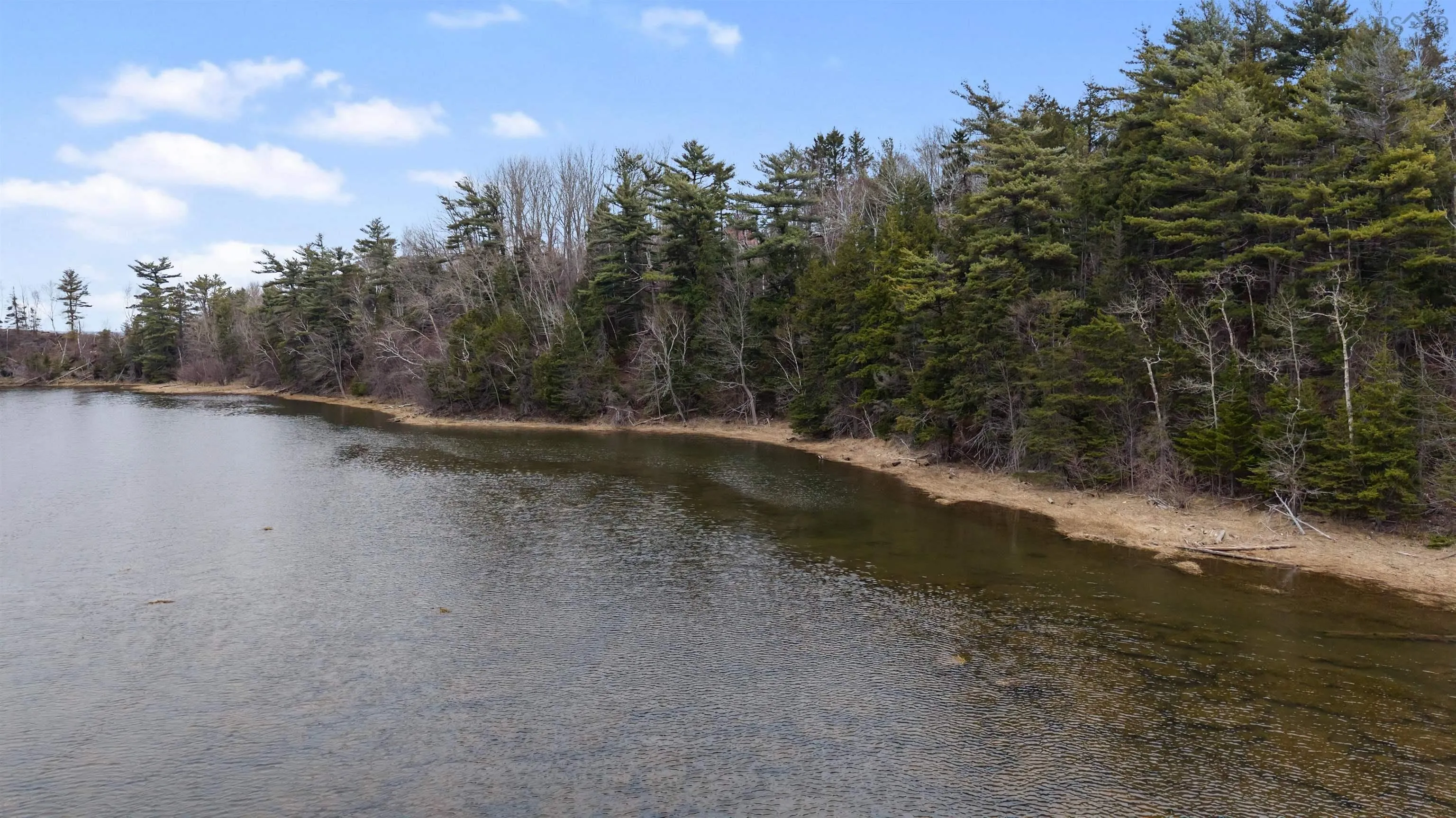 99 Shore Road, Sutherlands River Ns B0k 1g0, 3 Bedrooms Bedrooms, ,1 BathroomBathrooms,Residential,For Sale,Shore,202510031