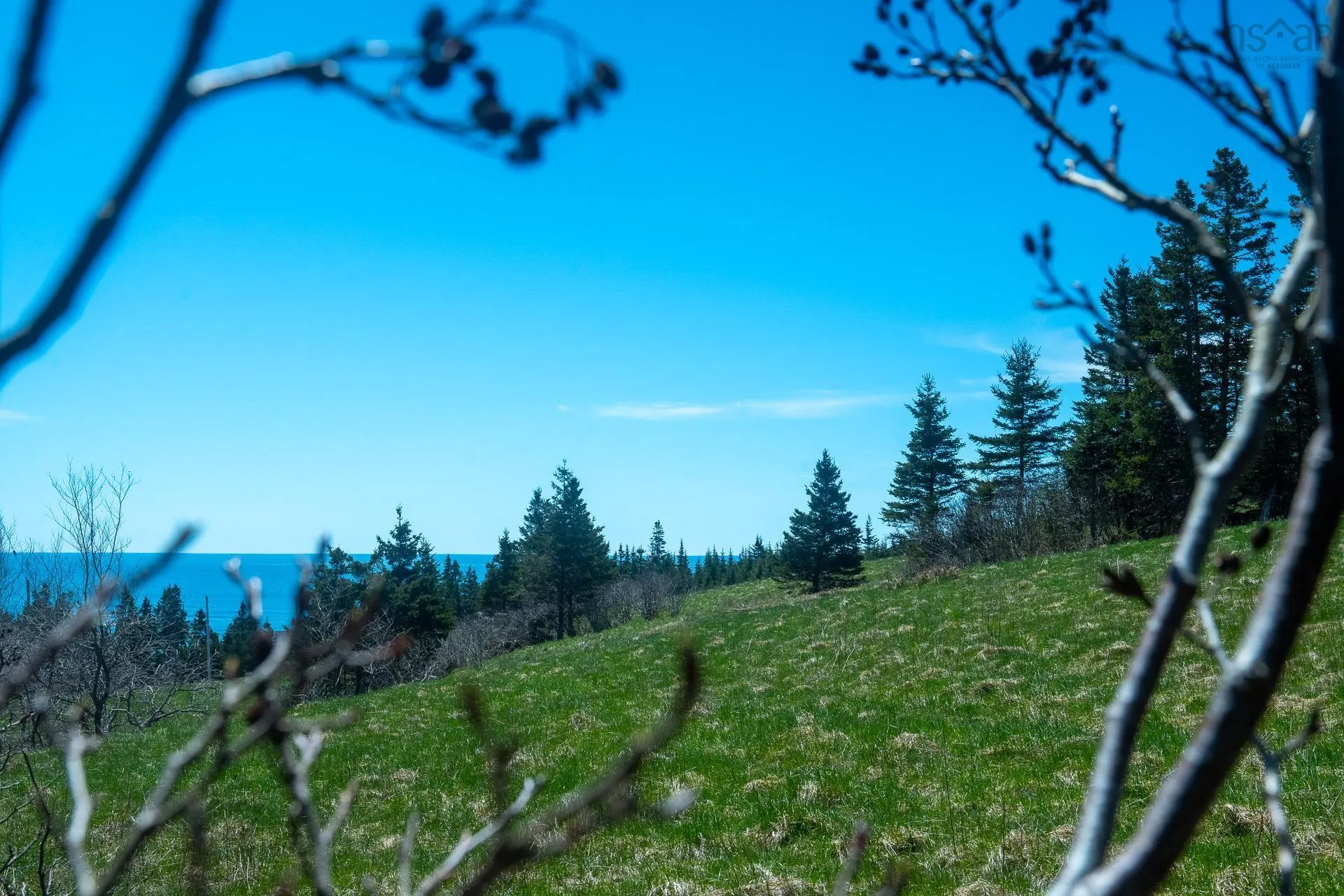 51 Moss Close Lot 2, Lawrencetown Ns B2z 1s5, ,Land,For Sale,Moss,202409925