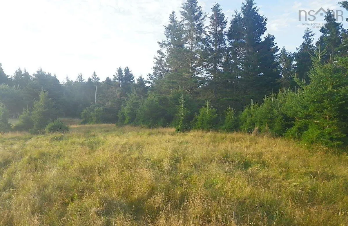 Lot 6 Moshers Island Road, Lahave Ns B0r 1c0, ,Land,For Sale,Moshers Island,202510503