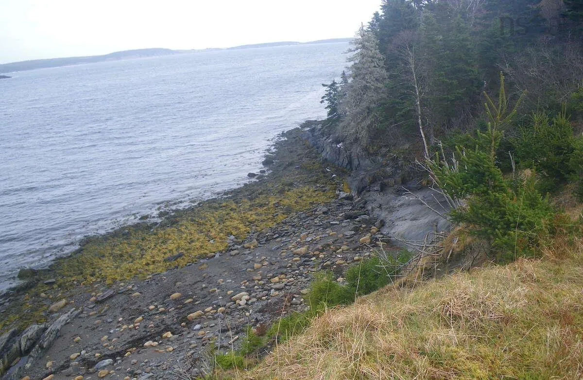 Lot 6 Moshers Island Road, Lahave Ns B0r 1c0, ,Land,For Sale,Moshers Island,202510503