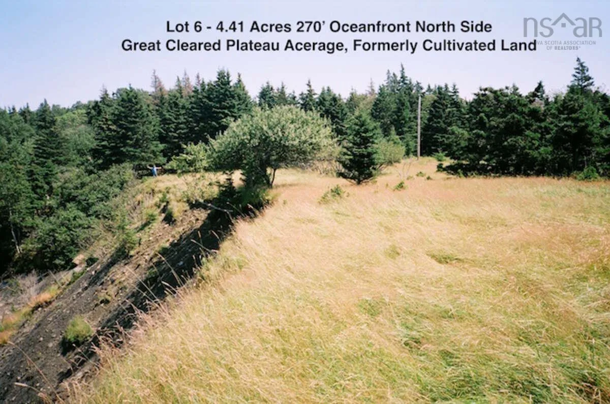 Lot 6 Moshers Island Road, Lahave Ns B0r 1c0, ,Land,For Sale,Moshers Island,202510503