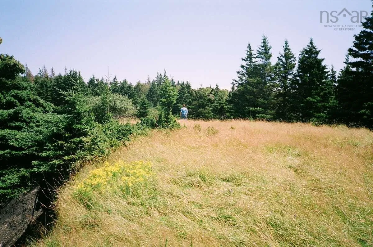 Lot 6 Moshers Island Road, Lahave Ns B0r 1c0, ,Land,For Sale,Moshers Island,202510503