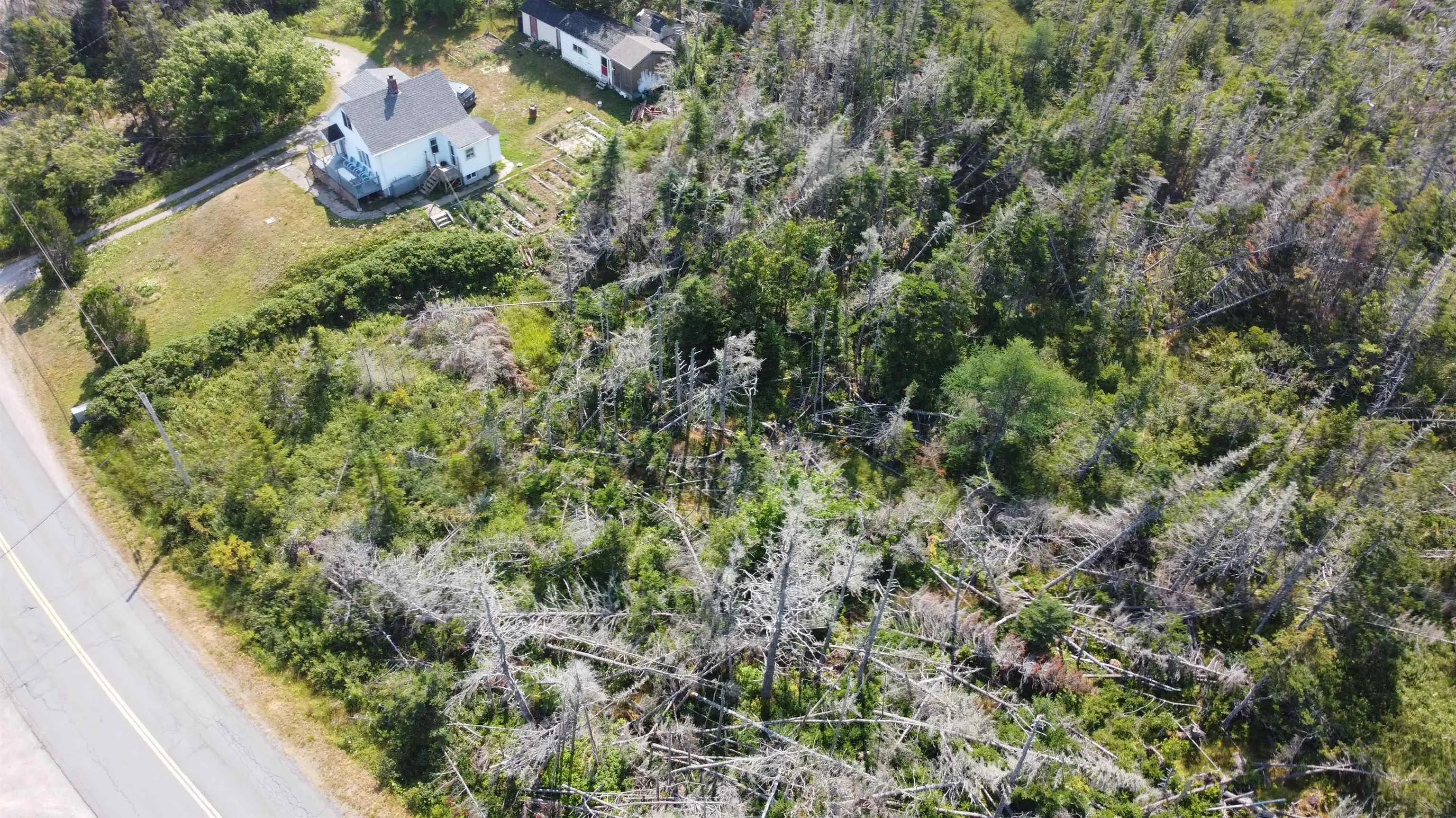 Lot 0 Wolfe Street, Louisbourg, NS B1C 2J2, ,Land,For Sale,Wolfe,202520805