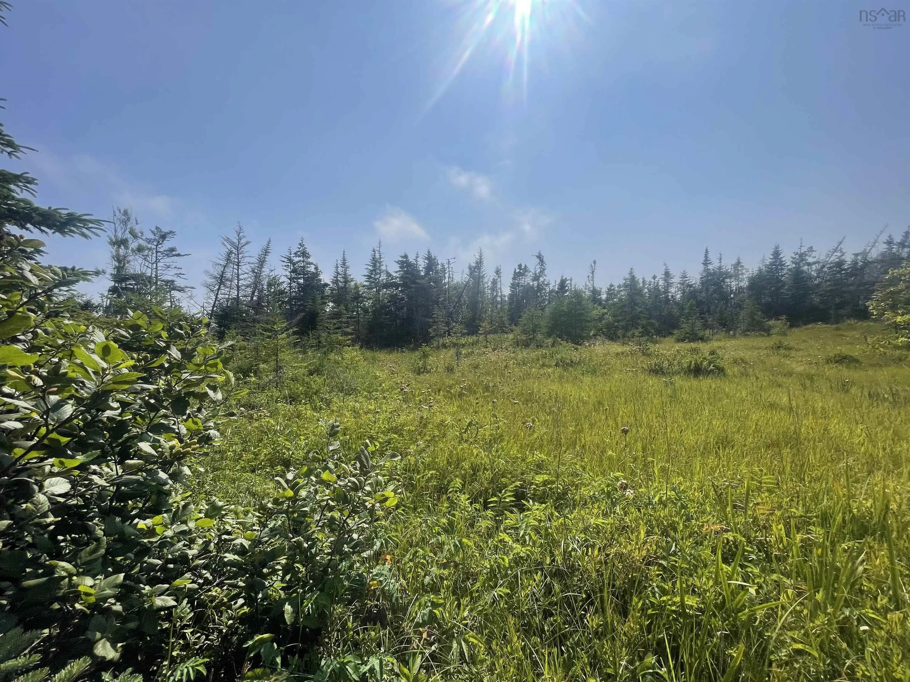 Lot 0 Wolfe Street, Louisbourg, NS B1C 2J2, ,Land,For Sale,Wolfe,202520805