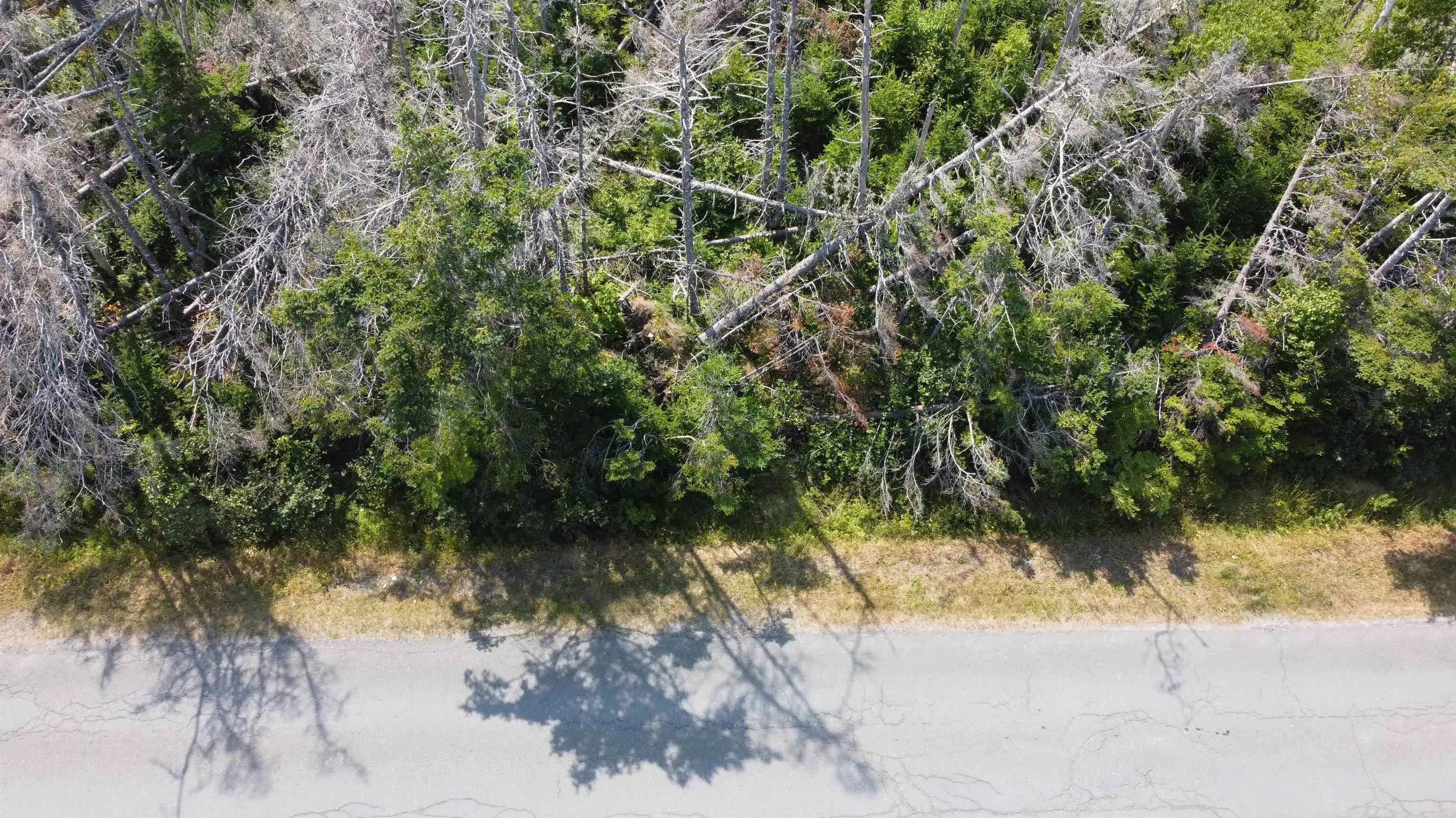 Lot 0 Wolfe Street, Louisbourg, NS B1C 2J2, ,Land,For Sale,Wolfe,202520805