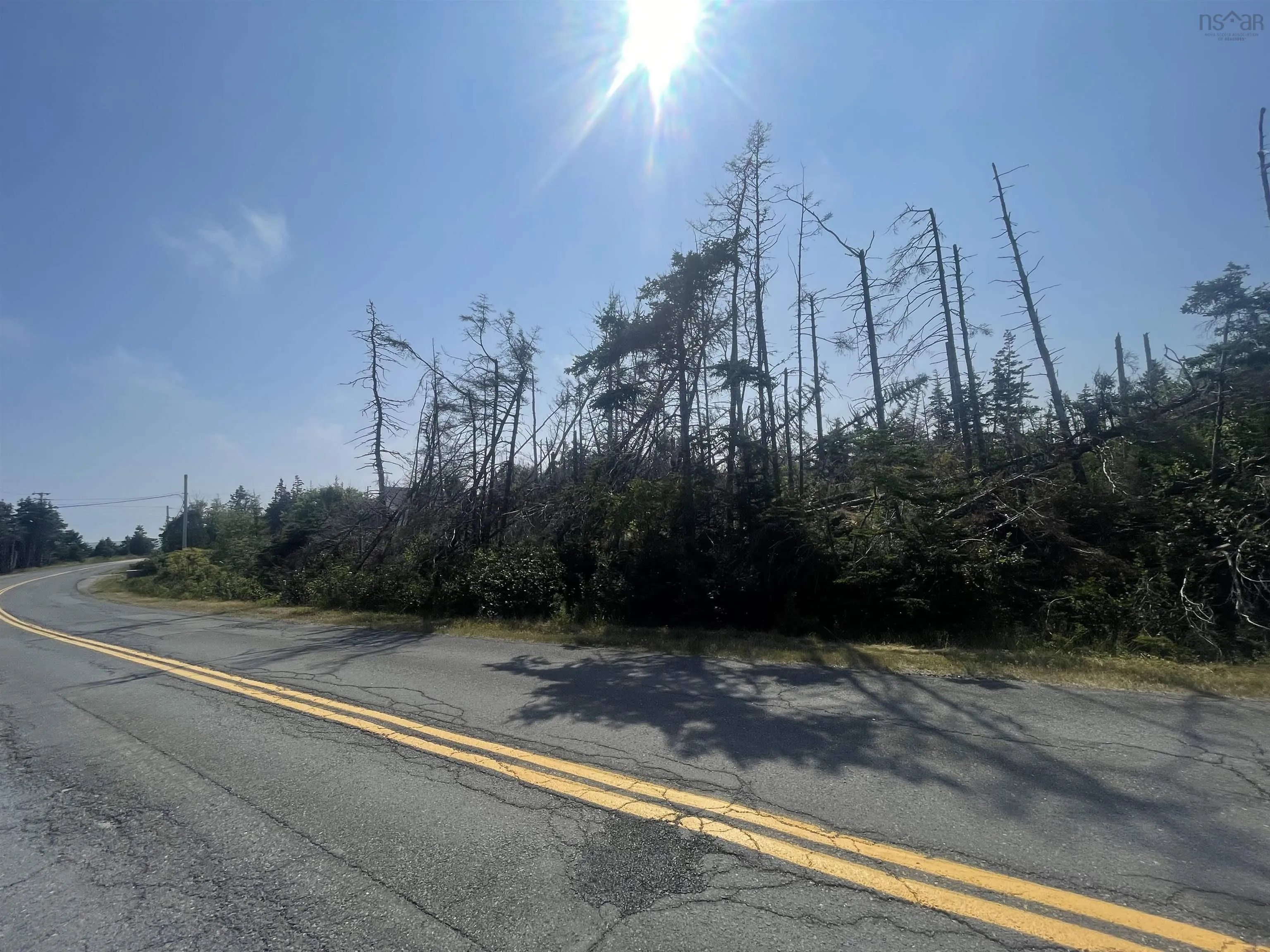 Lot 0 Wolfe Street, Louisbourg, NS B1C 2J2, ,Land,For Sale,Wolfe,202520805