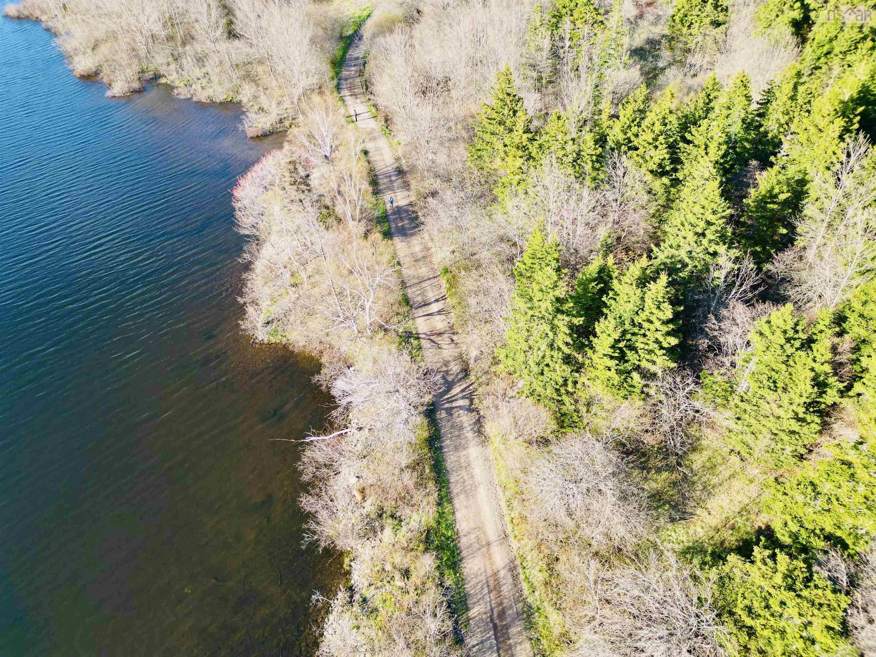 Chemin Du Lac Road, Grand Étang, NS B0E 1L0, ,Land,For Sale,Chemin Du Lac,202510885