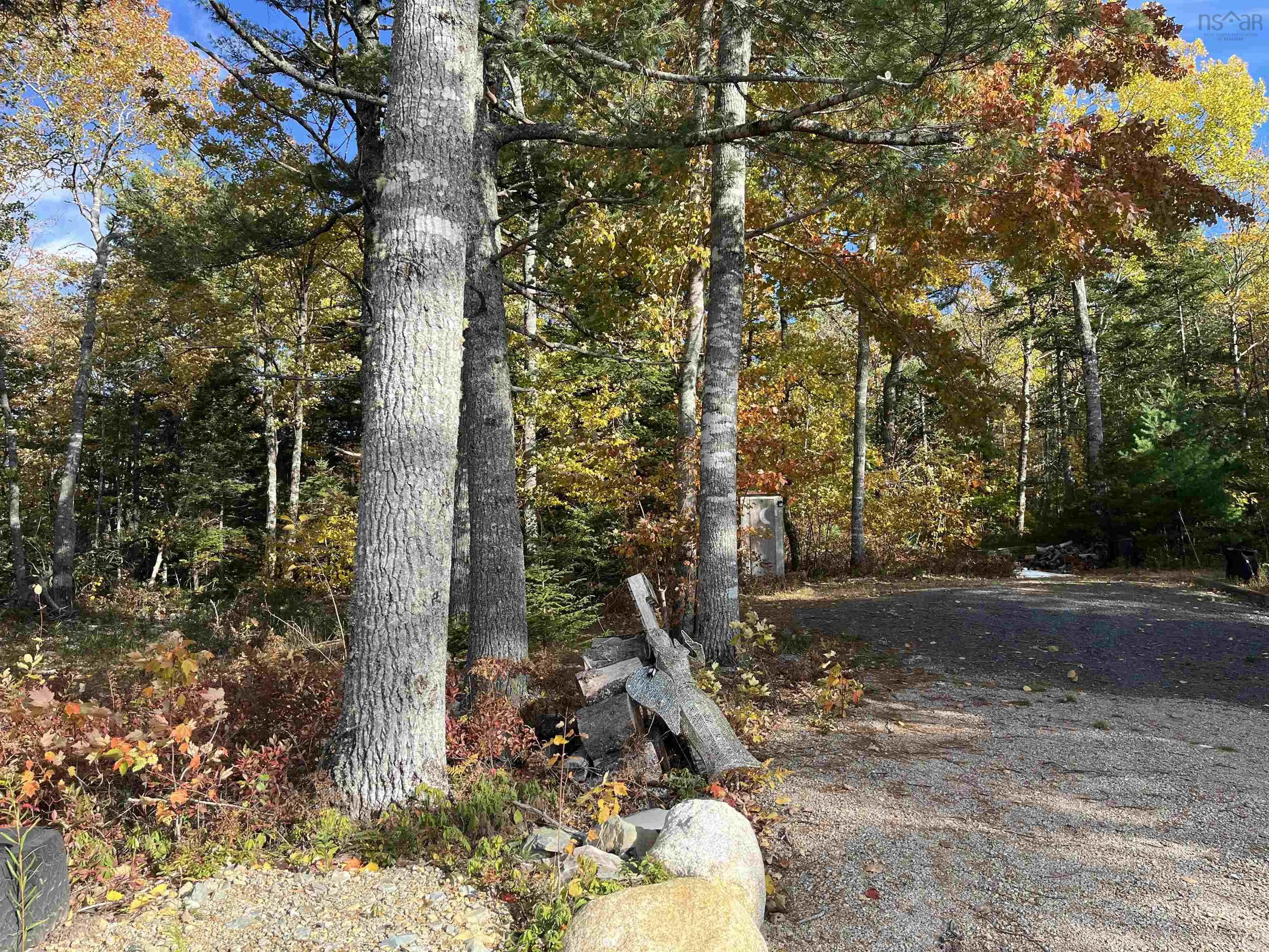 578 Second Brook Road, Western Shore Ns B0j 3m0, 2 Bedrooms Bedrooms, ,1 BathroomBathrooms,Residential,For Sale,Second Brook,202507954
