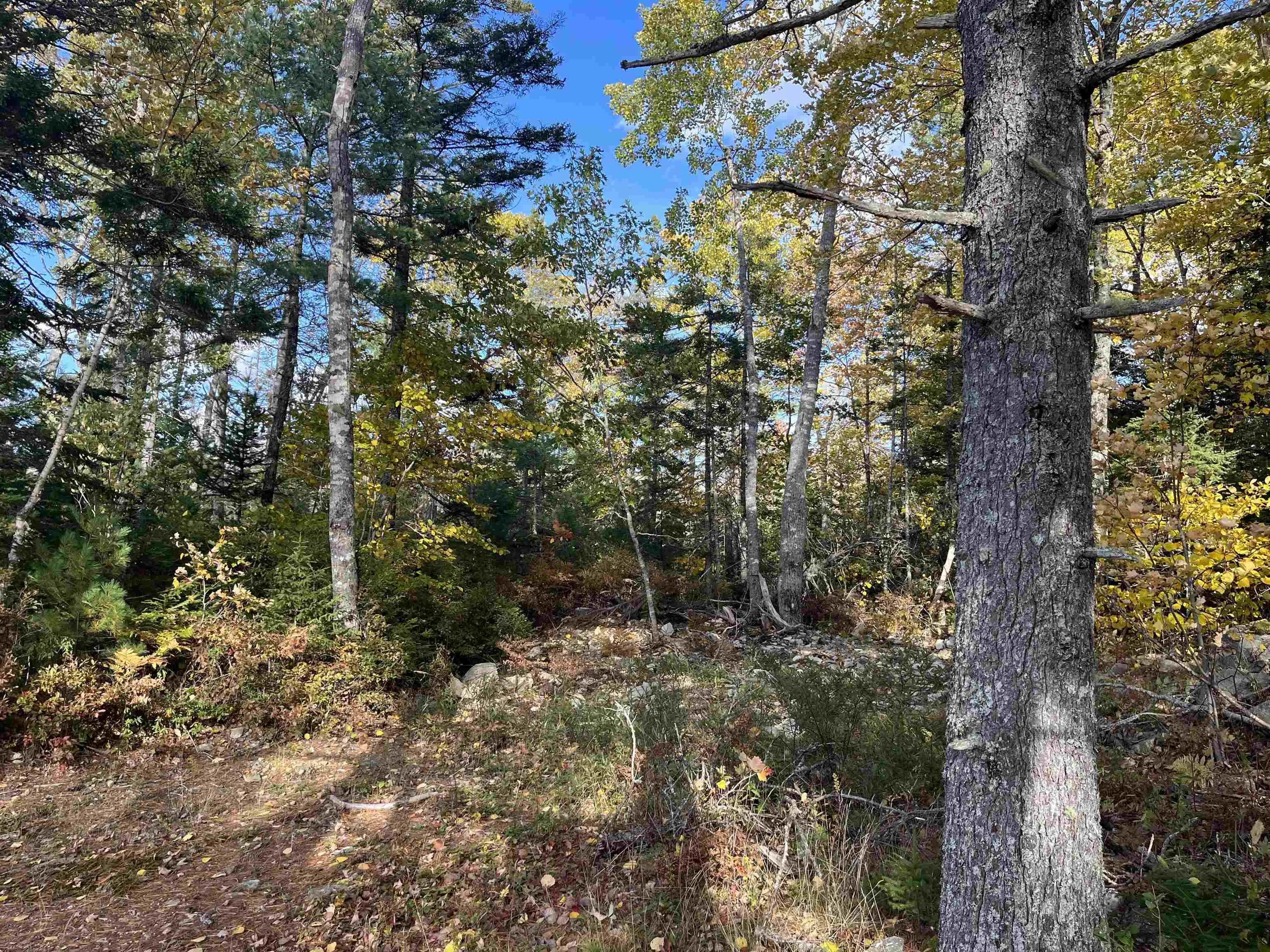 578 Second Brook Road, Western Shore Ns B0j 3m0, 2 Bedrooms Bedrooms, ,1 BathroomBathrooms,Residential,For Sale,Second Brook,202507954