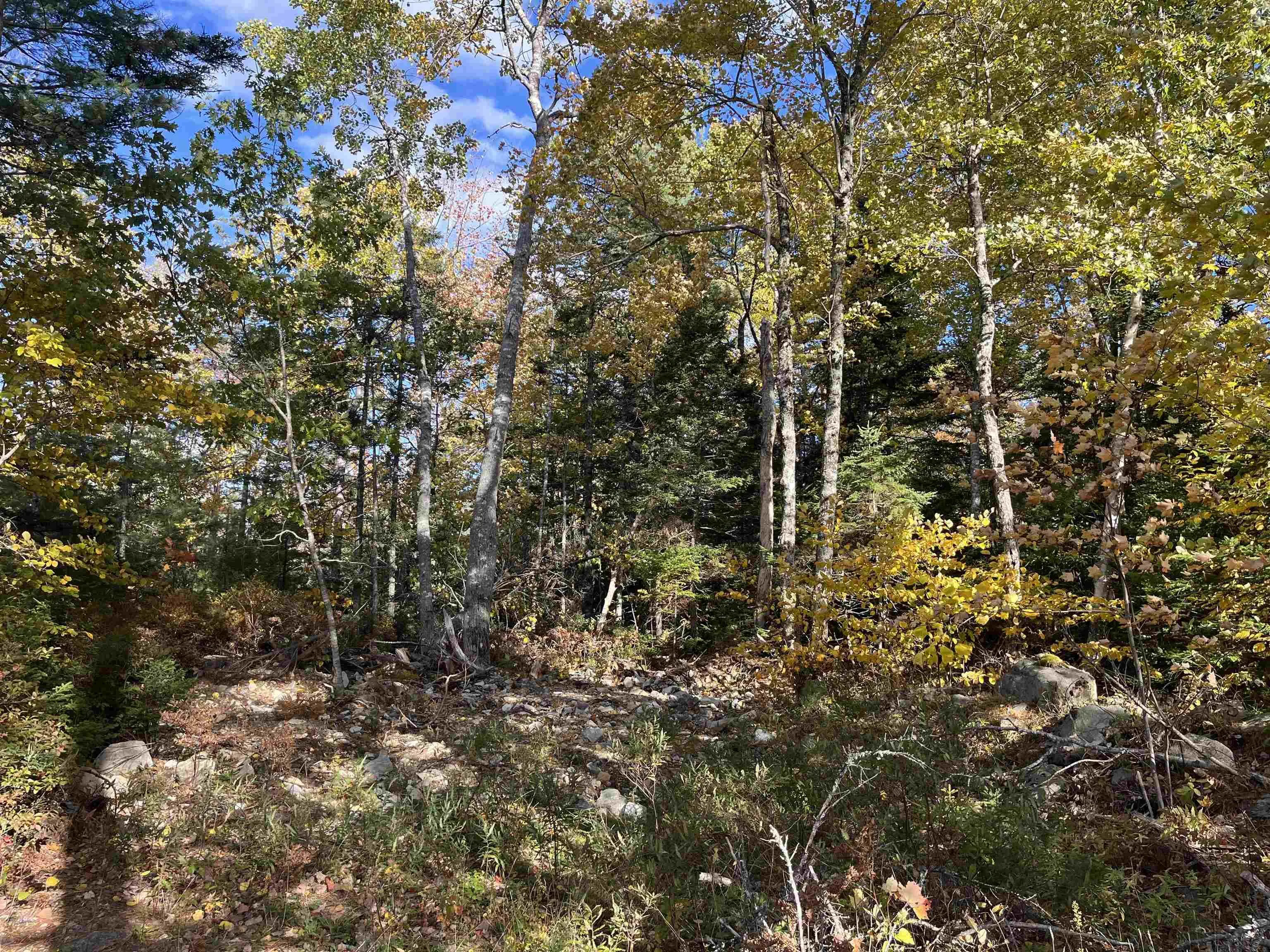 578 Second Brook Road, Western Shore Ns B0j 3m0, 2 Bedrooms Bedrooms, ,1 BathroomBathrooms,Residential,For Sale,Second Brook,202507954