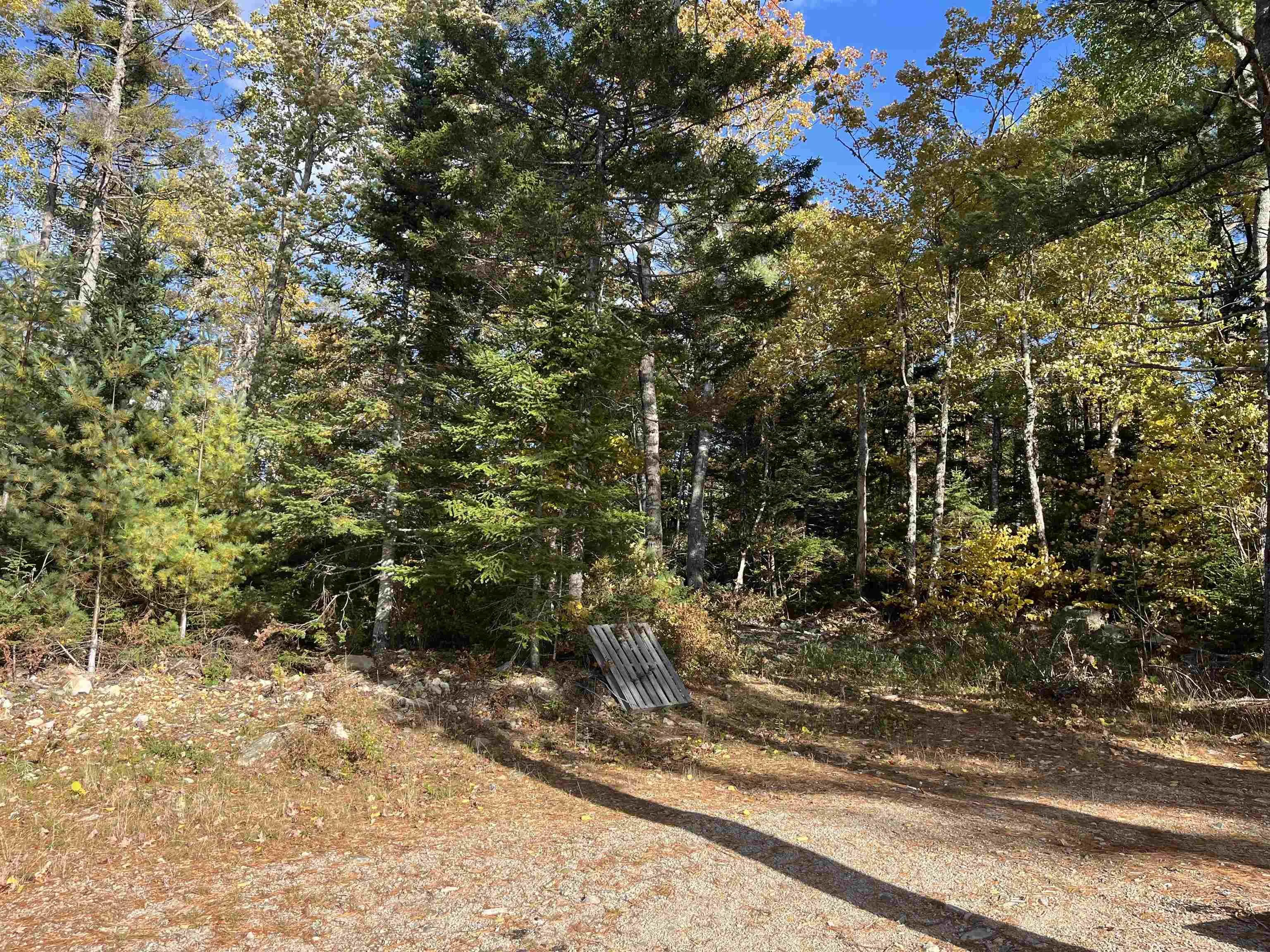 578 Second Brook Road, Western Shore Ns B0j 3m0, 2 Bedrooms Bedrooms, ,1 BathroomBathrooms,Residential,For Sale,Second Brook,202507954