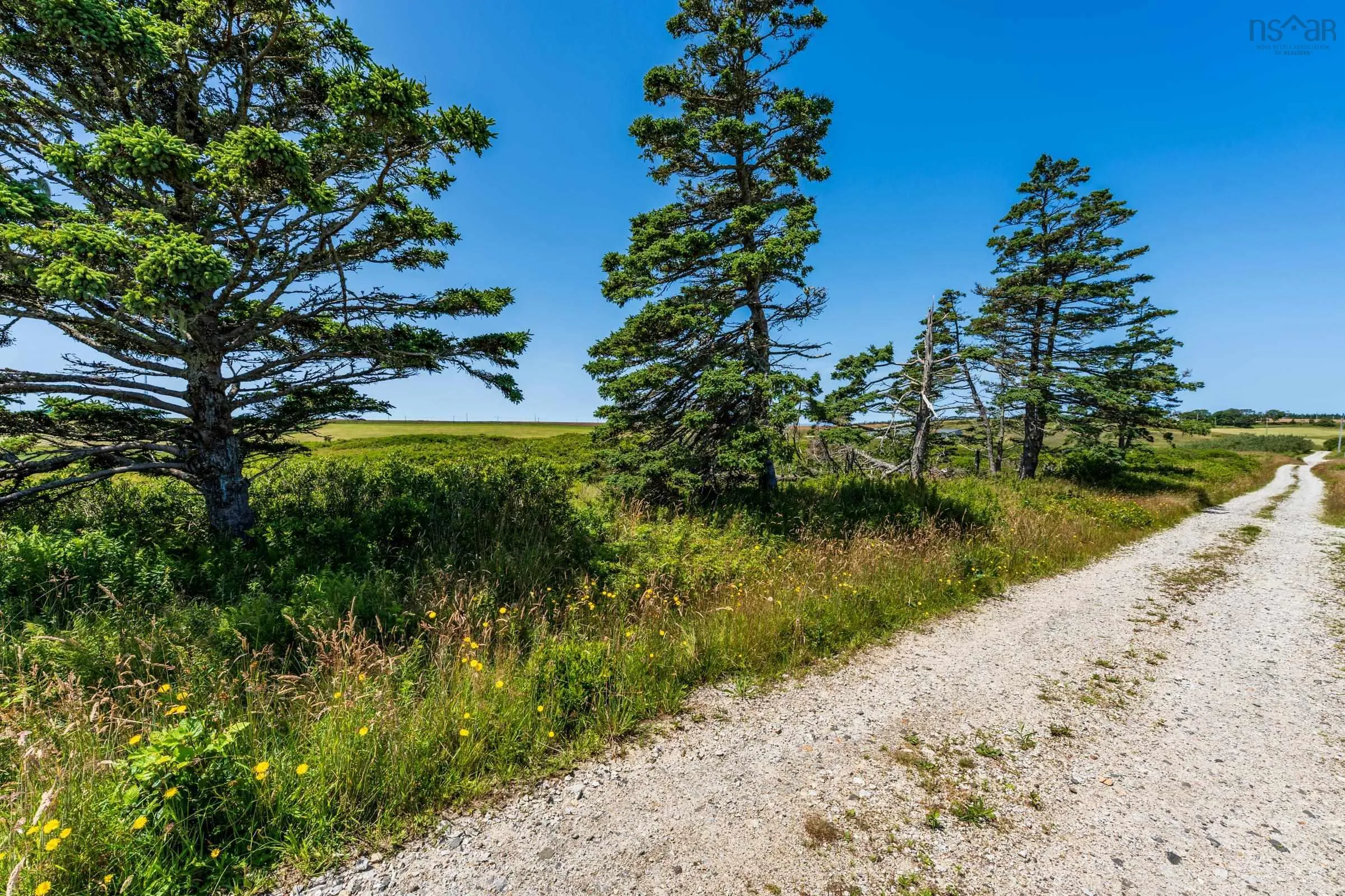 Short Cliff Point Road Lot 13, Chebogue Point, NS B5A 4A7, ,Land,For Sale,Short Cliff Point,202519129