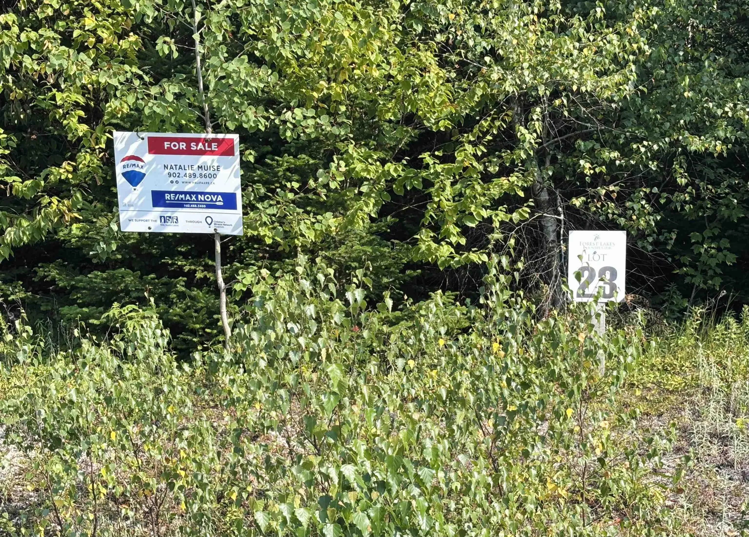 Highland Drive, Ardoise, NS B0N 3A0, ,Land,For Sale,Highland,202519029