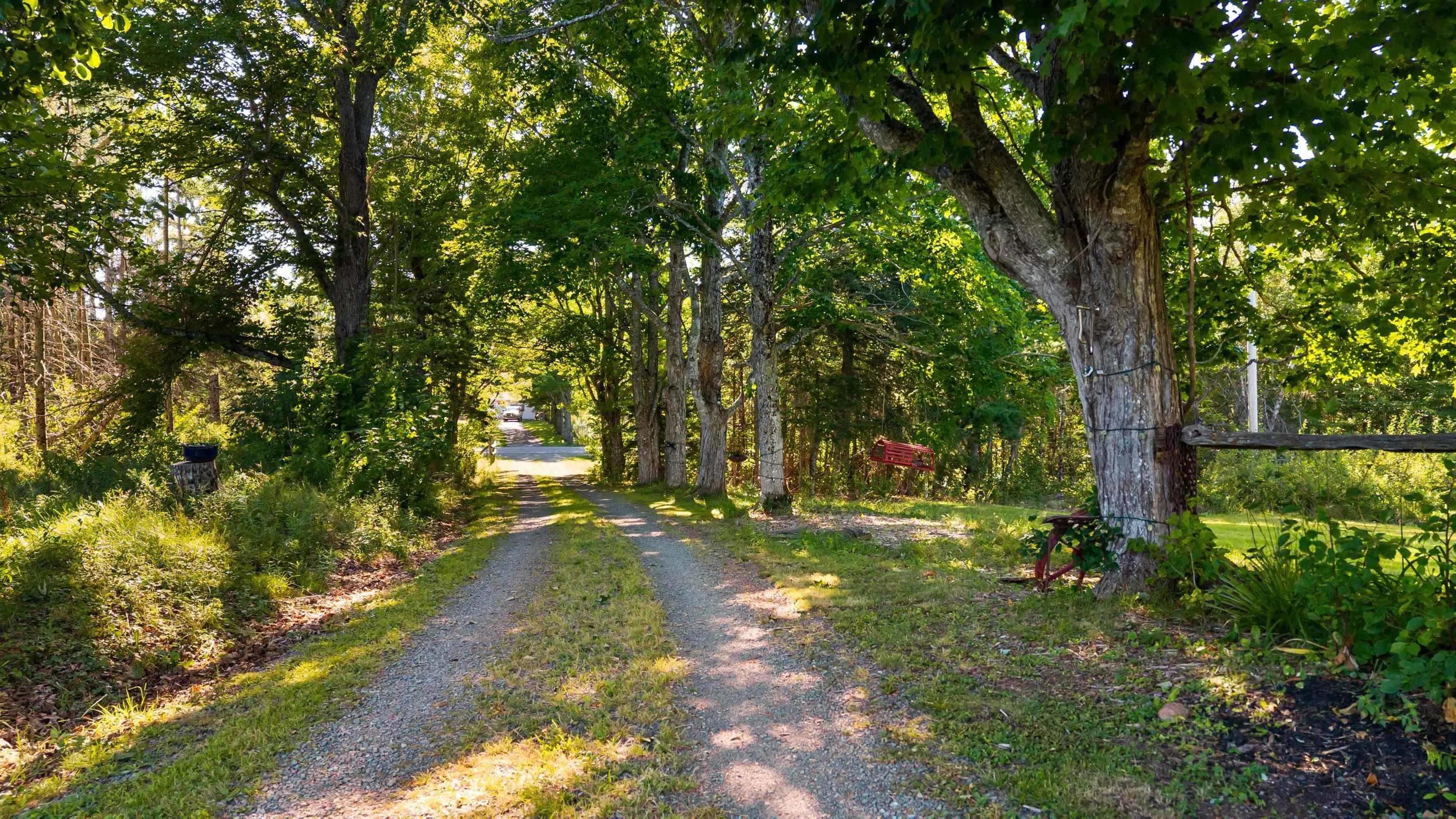 3072 326 Highway, Denmark Ns B0k 1v0, 3 Bedrooms Bedrooms, ,2 BathroomsBathrooms,Residential,For Sale,326,202508492