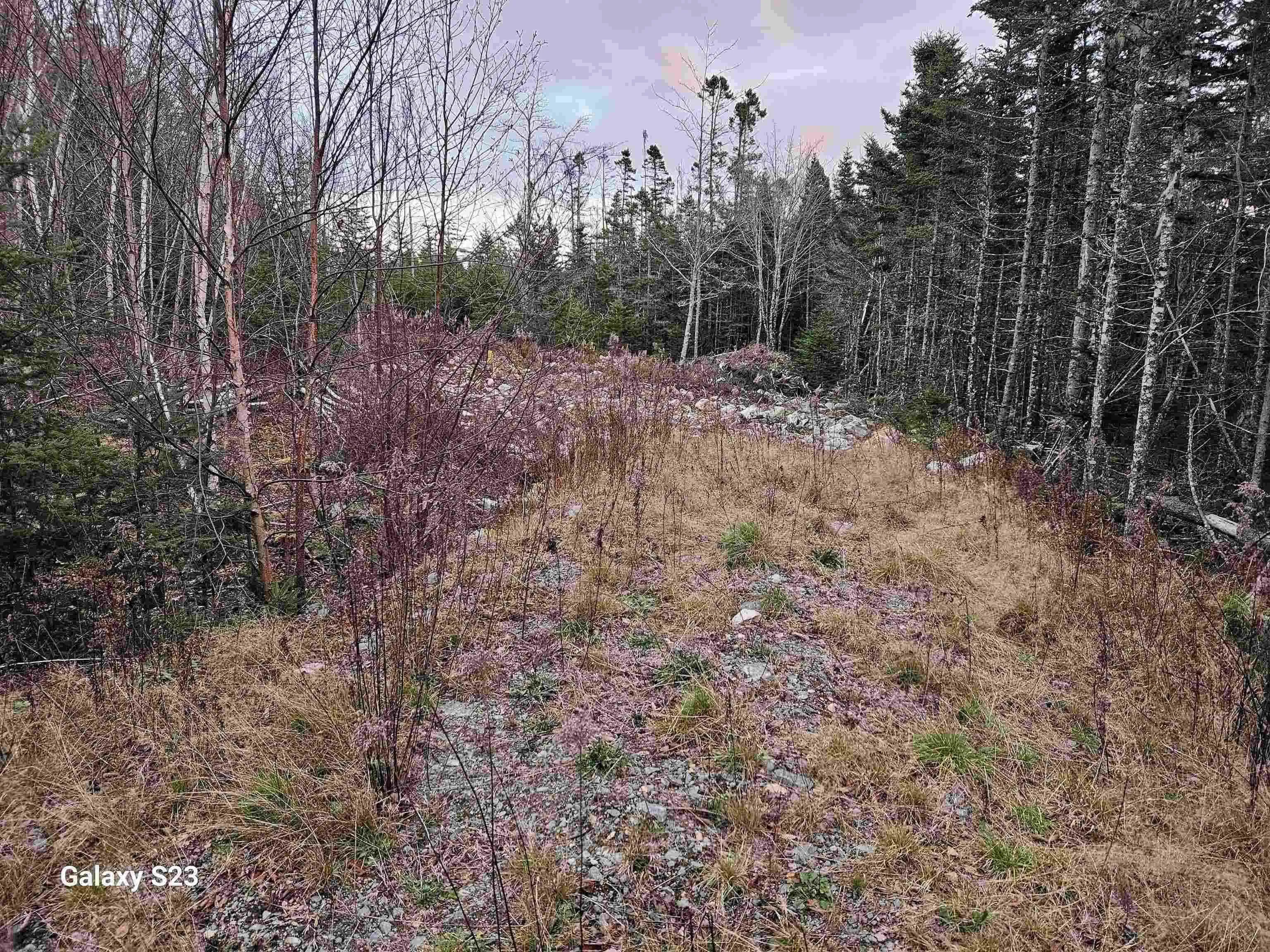 165 Ostrea Lake Road, Musquodoboit Harbour Ns B2z 1e9, 3 Bedrooms Bedrooms, ,2 BathroomsBathrooms,Residential,For Sale,Ostrea Lake,202509546