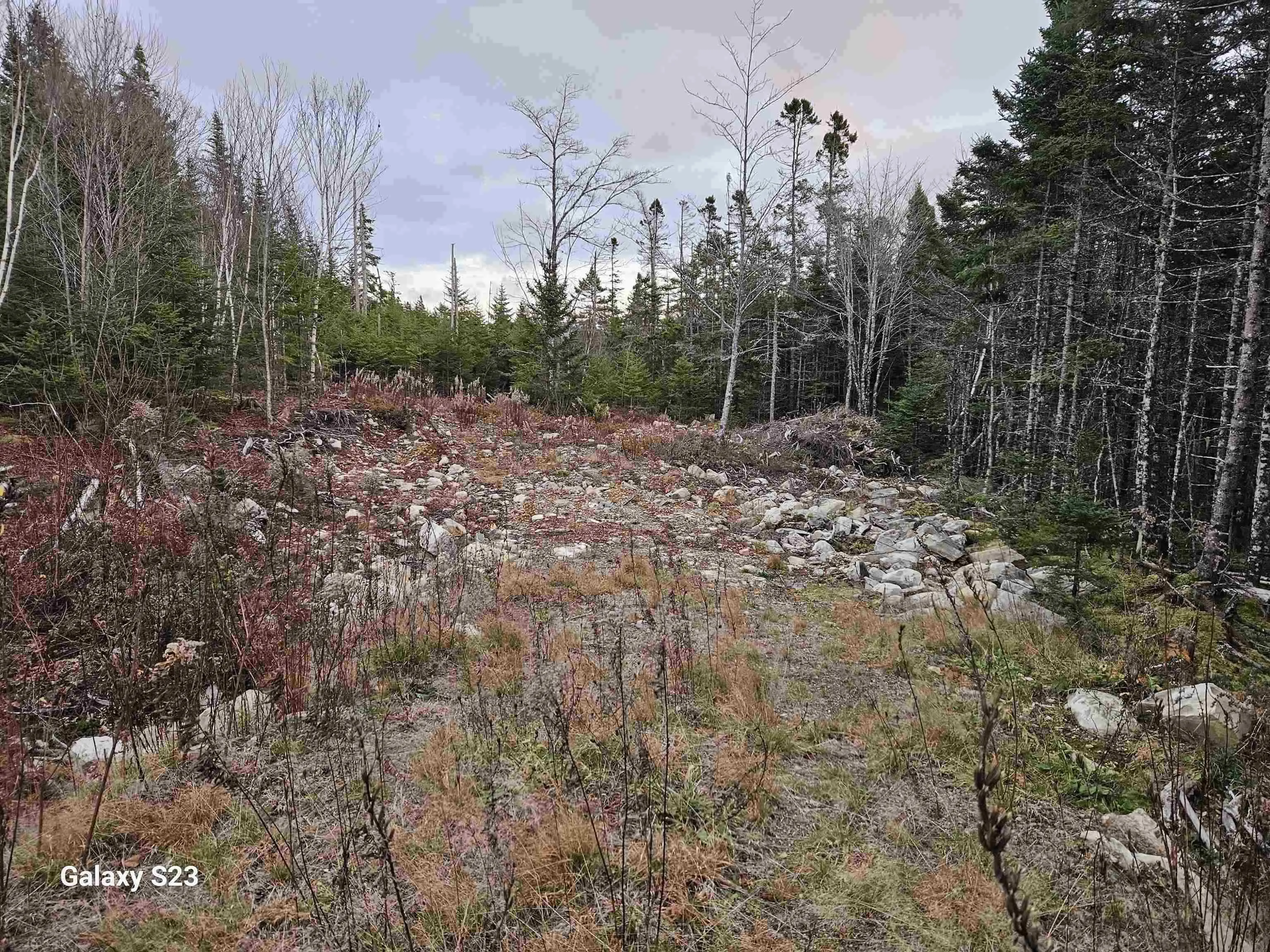 165 Ostrea Lake Road, Musquodoboit Harbour Ns B2z 1e9, 3 Bedrooms Bedrooms, ,2 BathroomsBathrooms,Residential,For Sale,Ostrea Lake,202509546