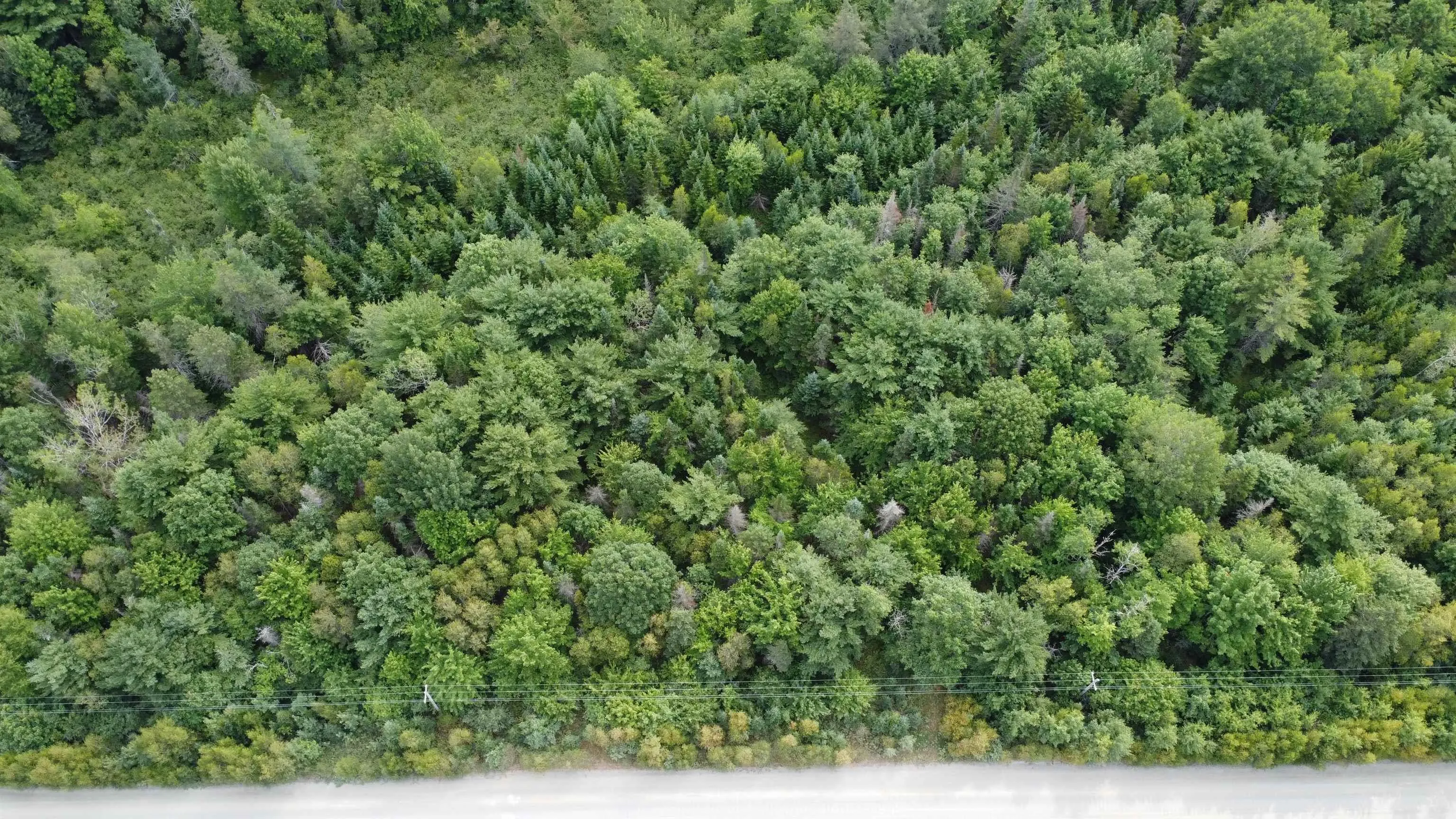 Morton Road, Barss Corner, NS B0R 1A0, ,Land,For Sale,Morton,202519513