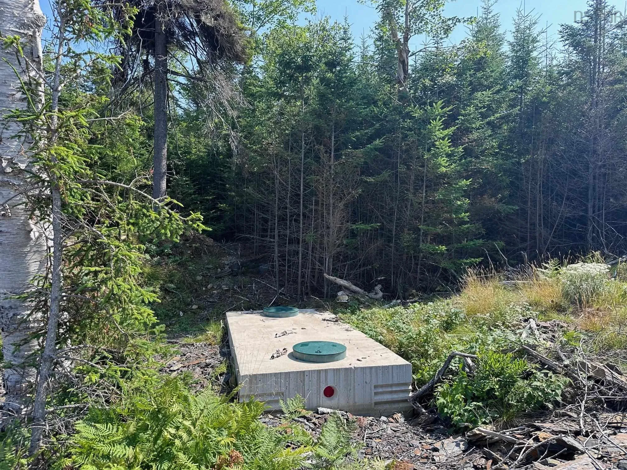 Fire Cove Road Lot 9, Feltzen South Ns B0j 2x0, ,Land,For Sale,Fire Cove,202505768