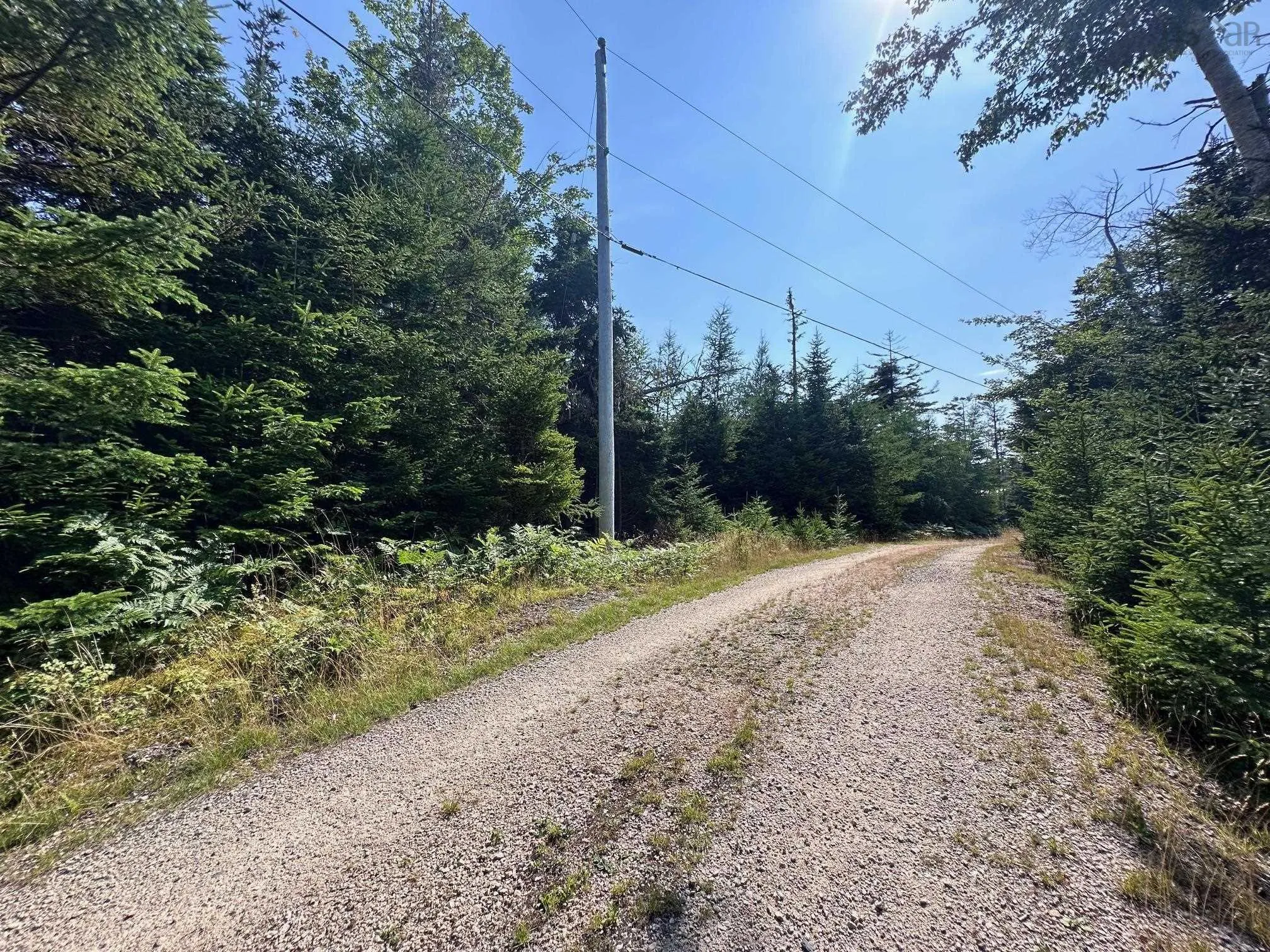 Fire Cove Road Lot 9, Feltzen South Ns B0j 2x0, ,Land,For Sale,Fire Cove,202505768