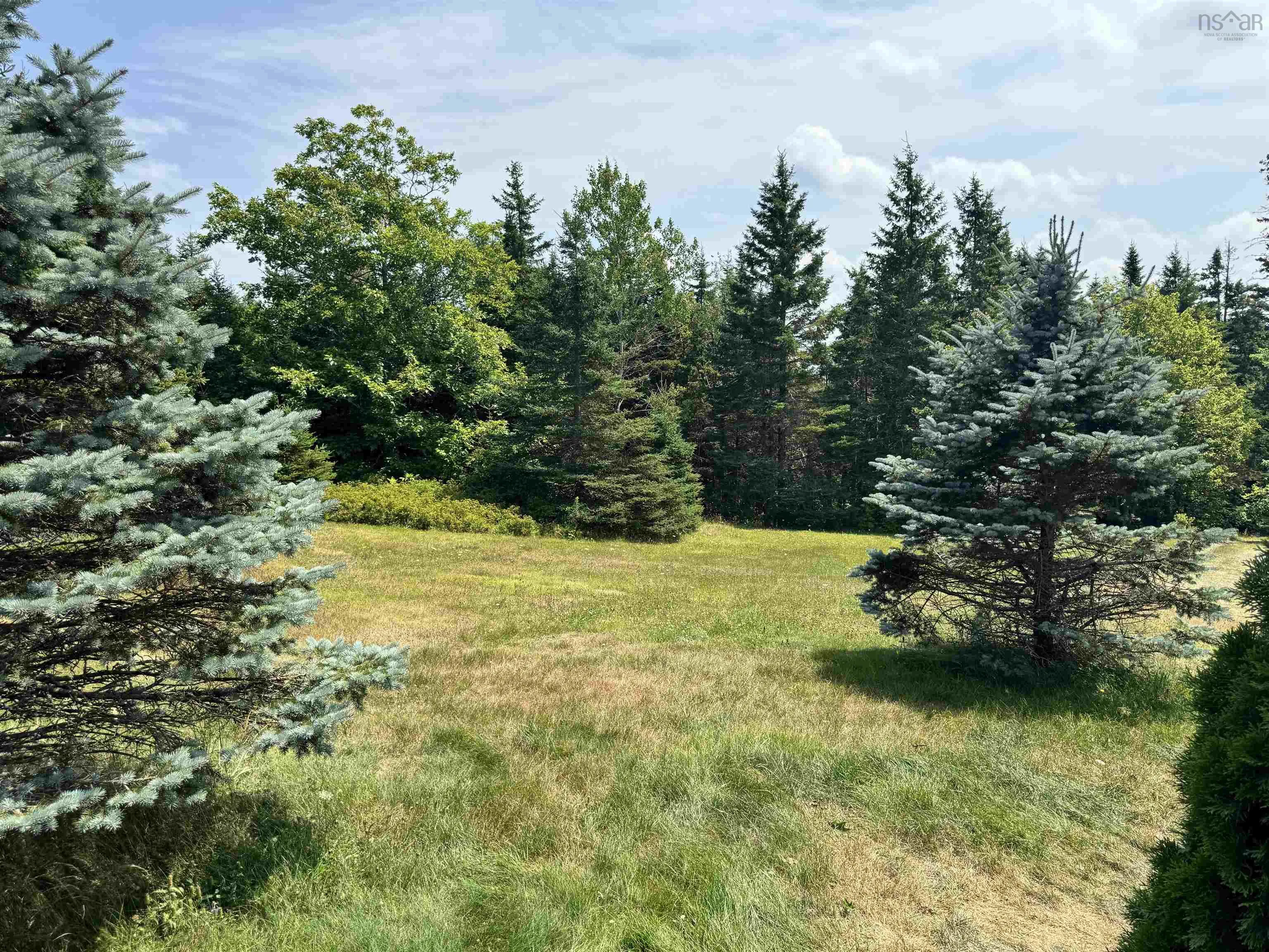231 Gower Road, West River Station, NS B0K 1Z0, 3 Bedrooms Bedrooms, ,1 BathroomBathrooms,Residential,For Sale,Gower,202519203