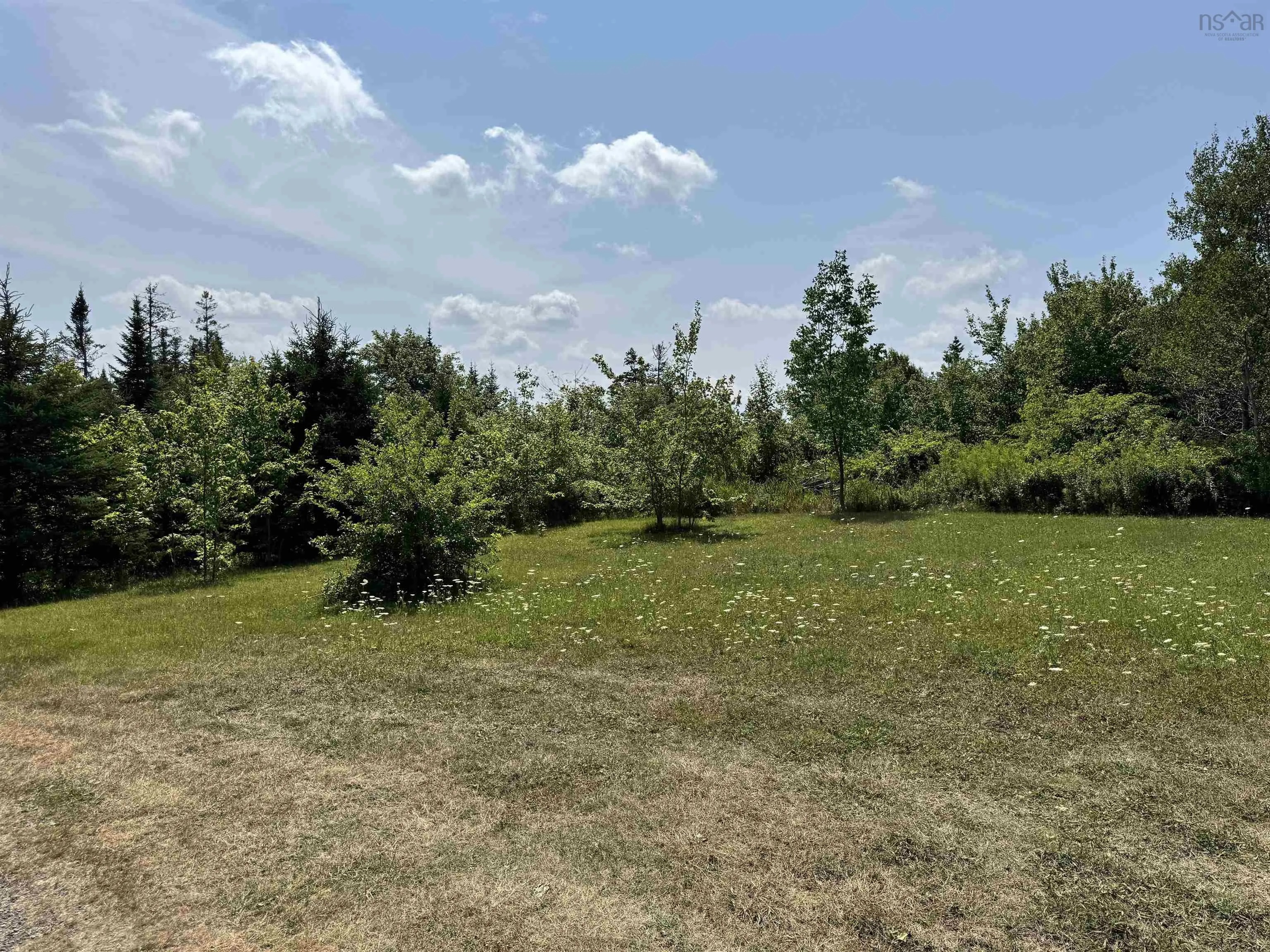 231 Gower Road, West River Station, NS B0K 1Z0, 3 Bedrooms Bedrooms, ,1 BathroomBathrooms,Residential,For Sale,Gower,202519203