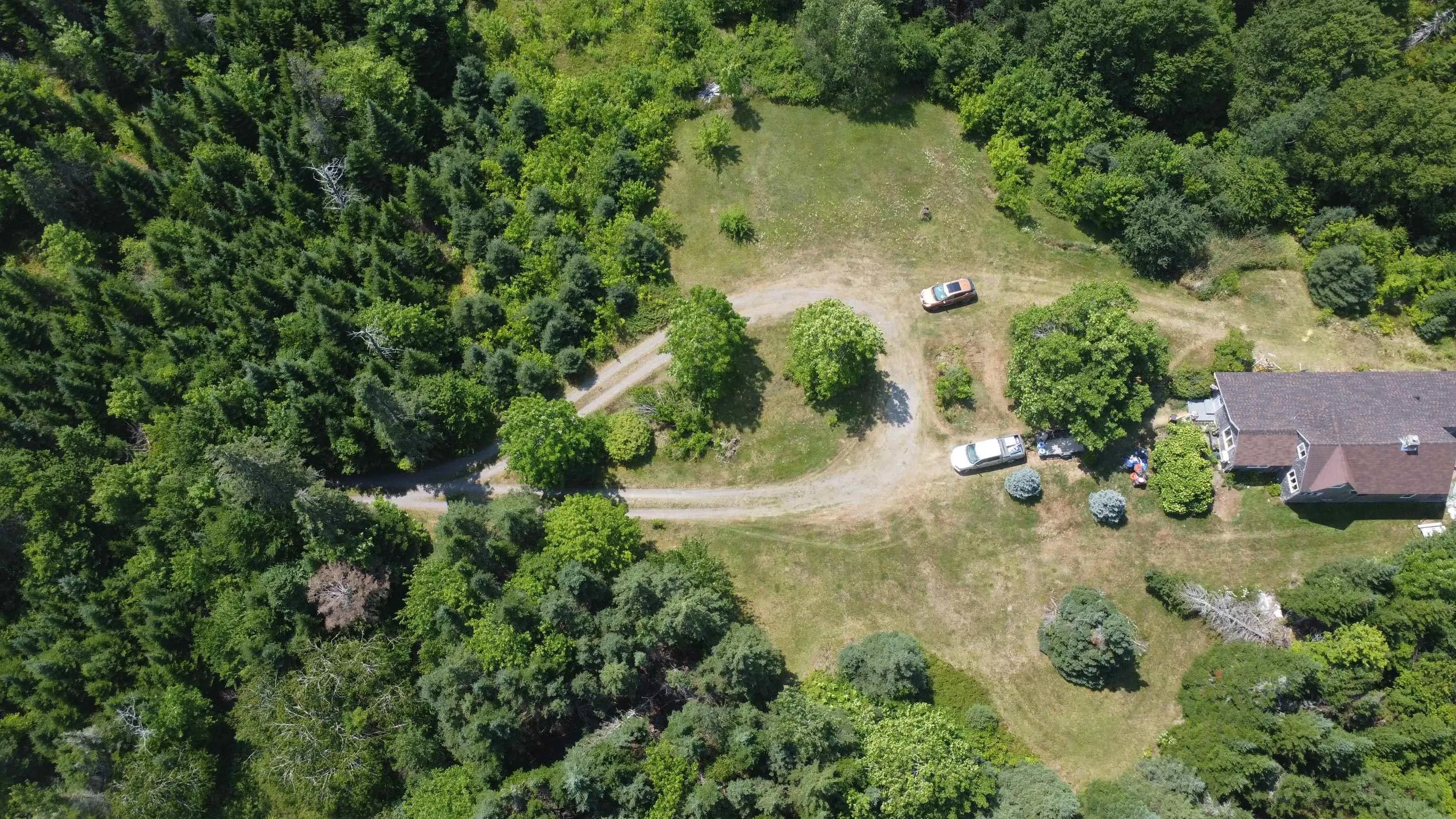231 Gower Road, West River Station, NS B0K 1Z0, 3 Bedrooms Bedrooms, ,1 BathroomBathrooms,Residential,For Sale,Gower,202519203