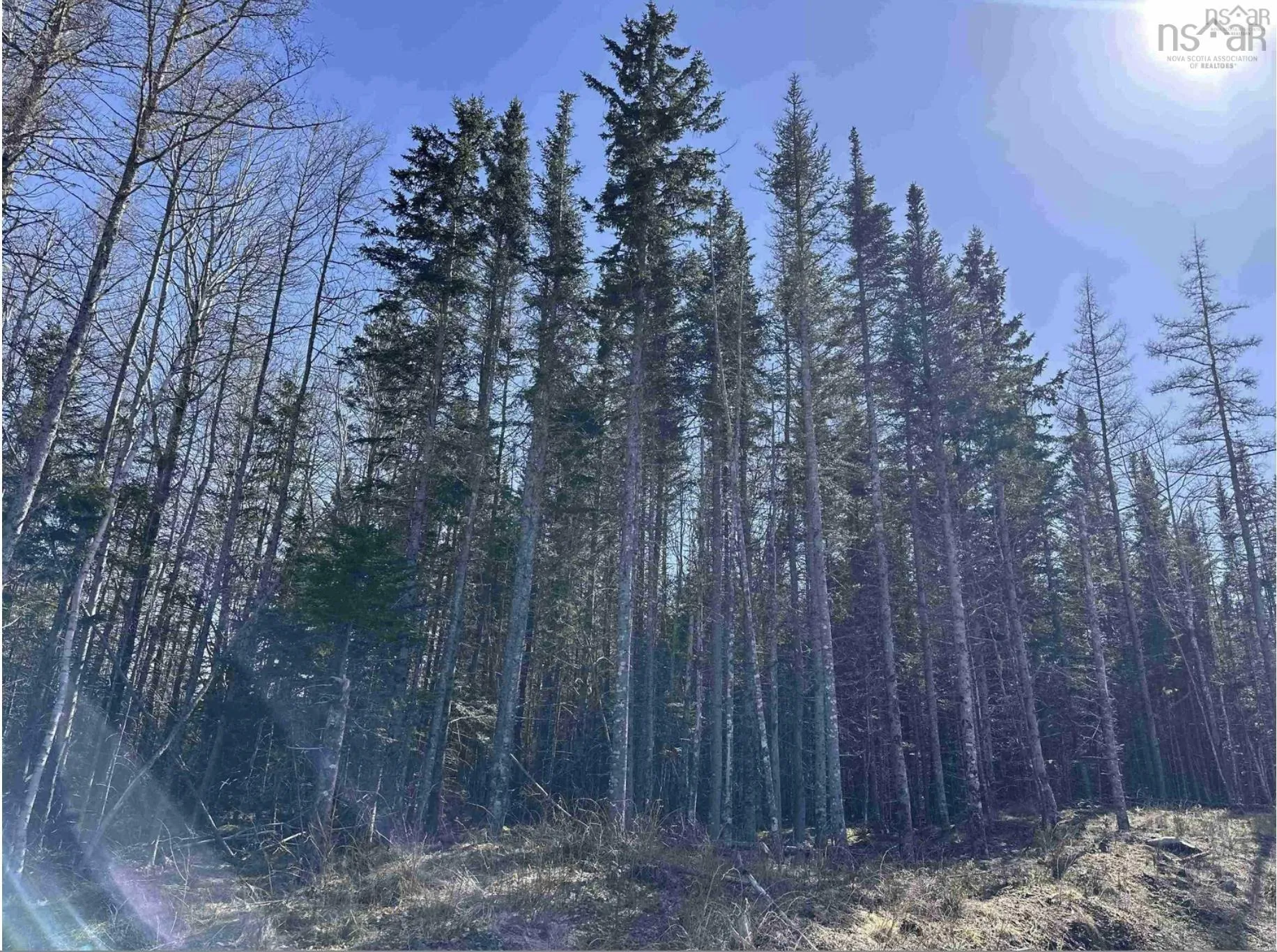 Lot 16 - Lower River Road, Grantville Ns B0e 1j0, ,Land,For Sale,Lot 16 - Lower River,202420502