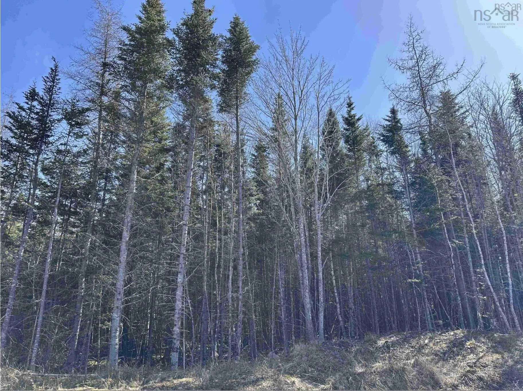 Lot 16 - Lower River Road, Grantville Ns B0e 1j0, ,Land,For Sale,Lot 16 - Lower River,202420502