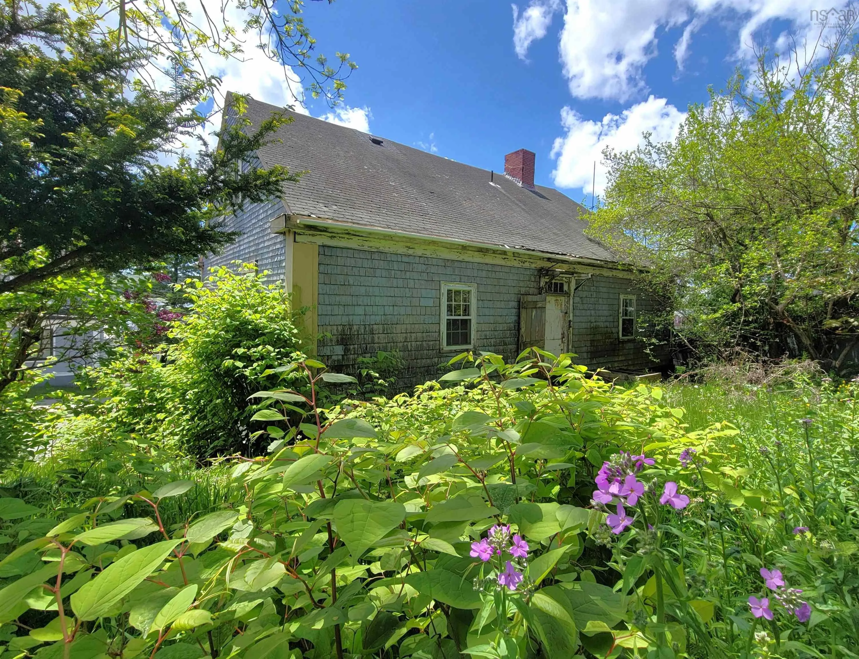 155 Pelham Street, Lunenburg, NS B0J 2C0, 5 Bedrooms Bedrooms, ,Residential,For Sale,Pelham,202520800