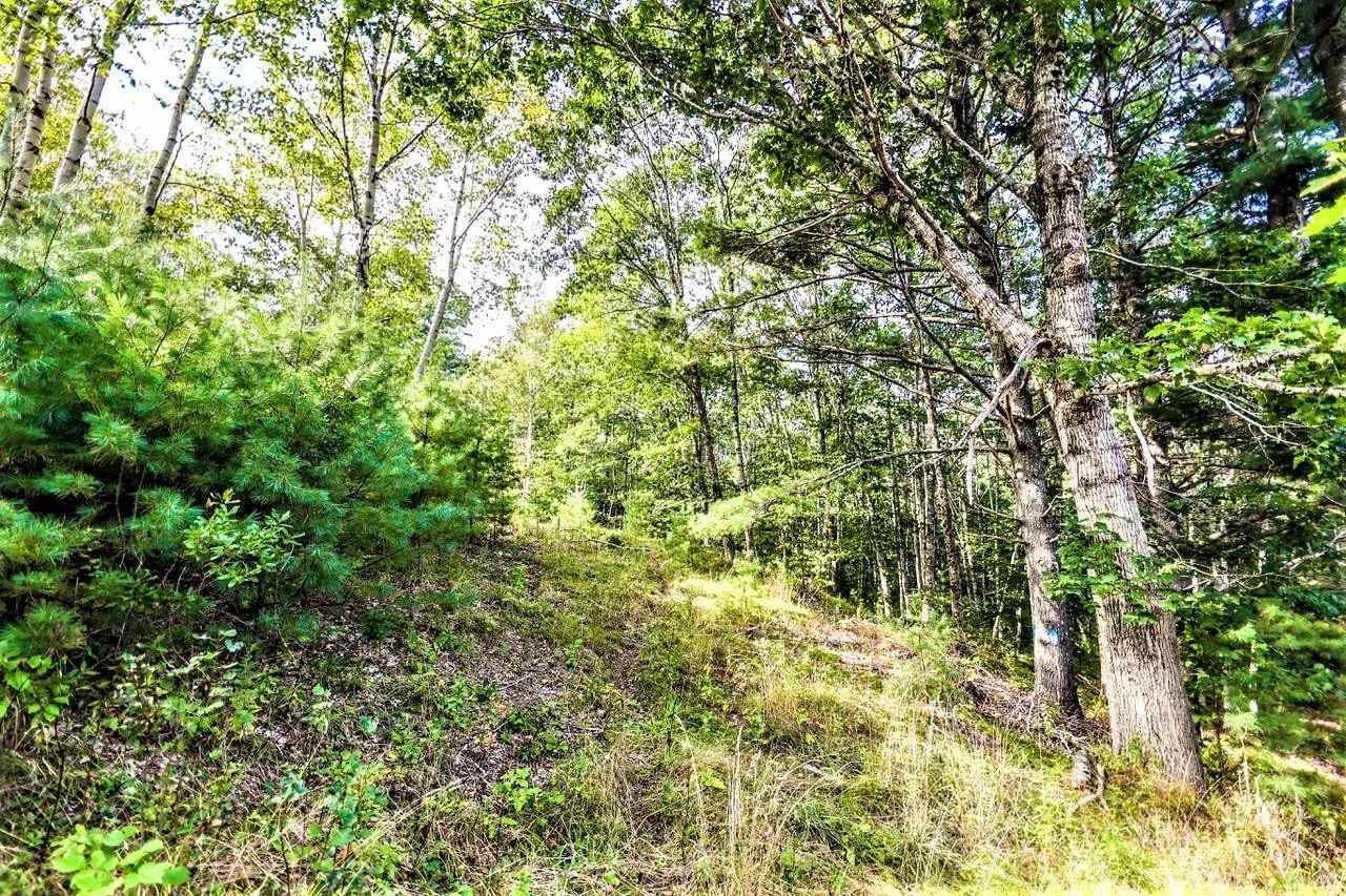 Wye Street Lot 2, Mahone Bay, NS B0J 2E0, ,Land,For Sale,Wye,202520754