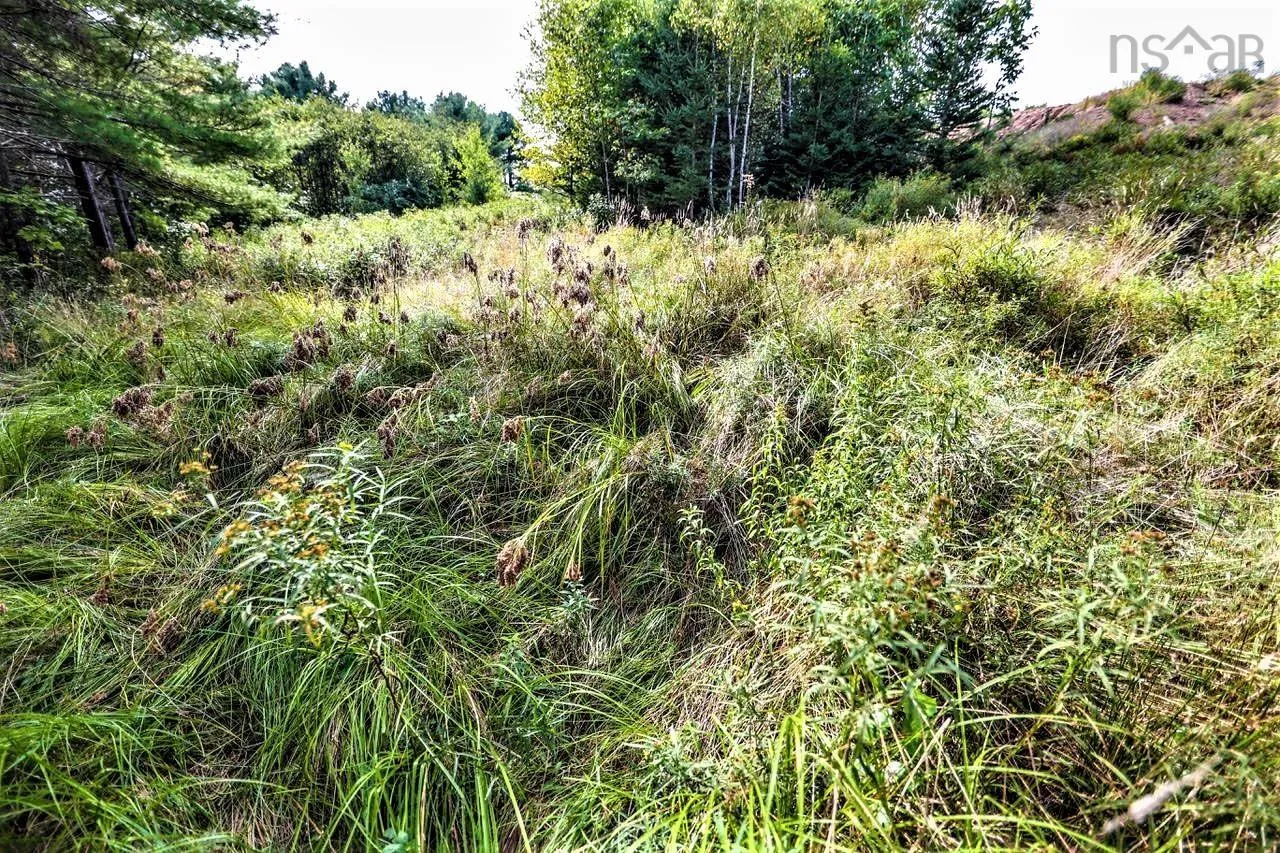 Wye Street Lot 2, Mahone Bay, NS B0J 2E0, ,Land,For Sale,Wye,202520754