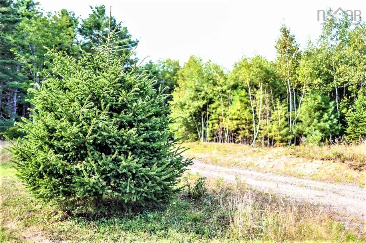 Wye Street Lot 2, Mahone Bay, NS B0J 2E0, ,Land,For Sale,Wye,202520754