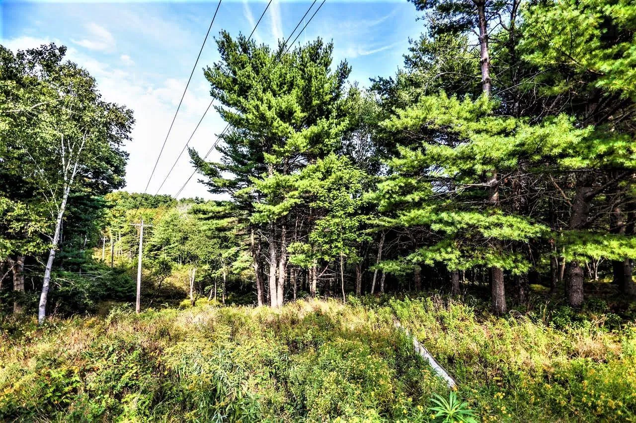Wye Street Lot 2, Mahone Bay, NS B0J 2E0, ,Land,For Sale,Wye,202520754