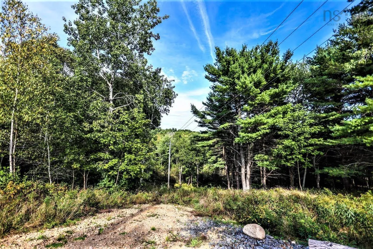 Wye Street Lot 2, Mahone Bay, NS B0J 2E0, ,Land,For Sale,Wye,202520754
