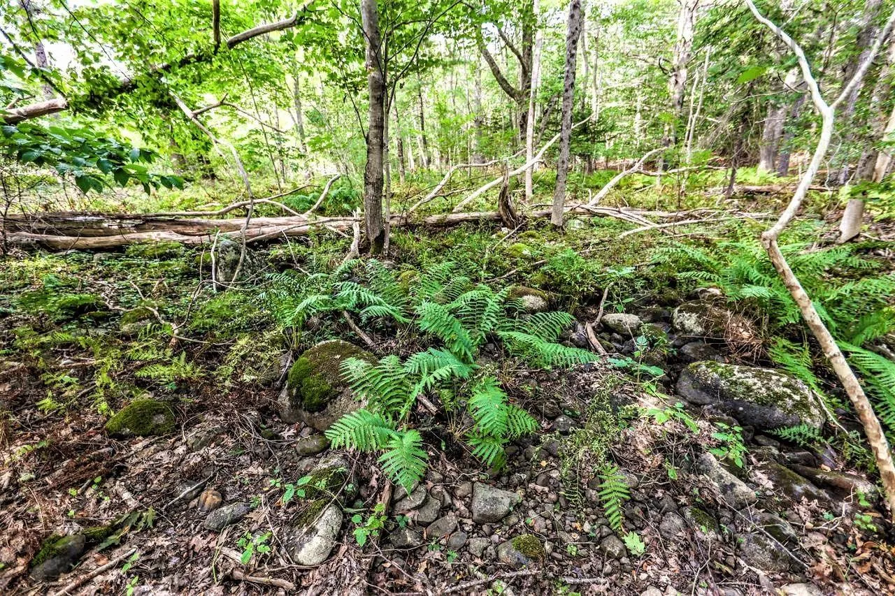 Wye Street Lot 2, Mahone Bay, NS B0J 2E0, ,Land,For Sale,Wye,202520754