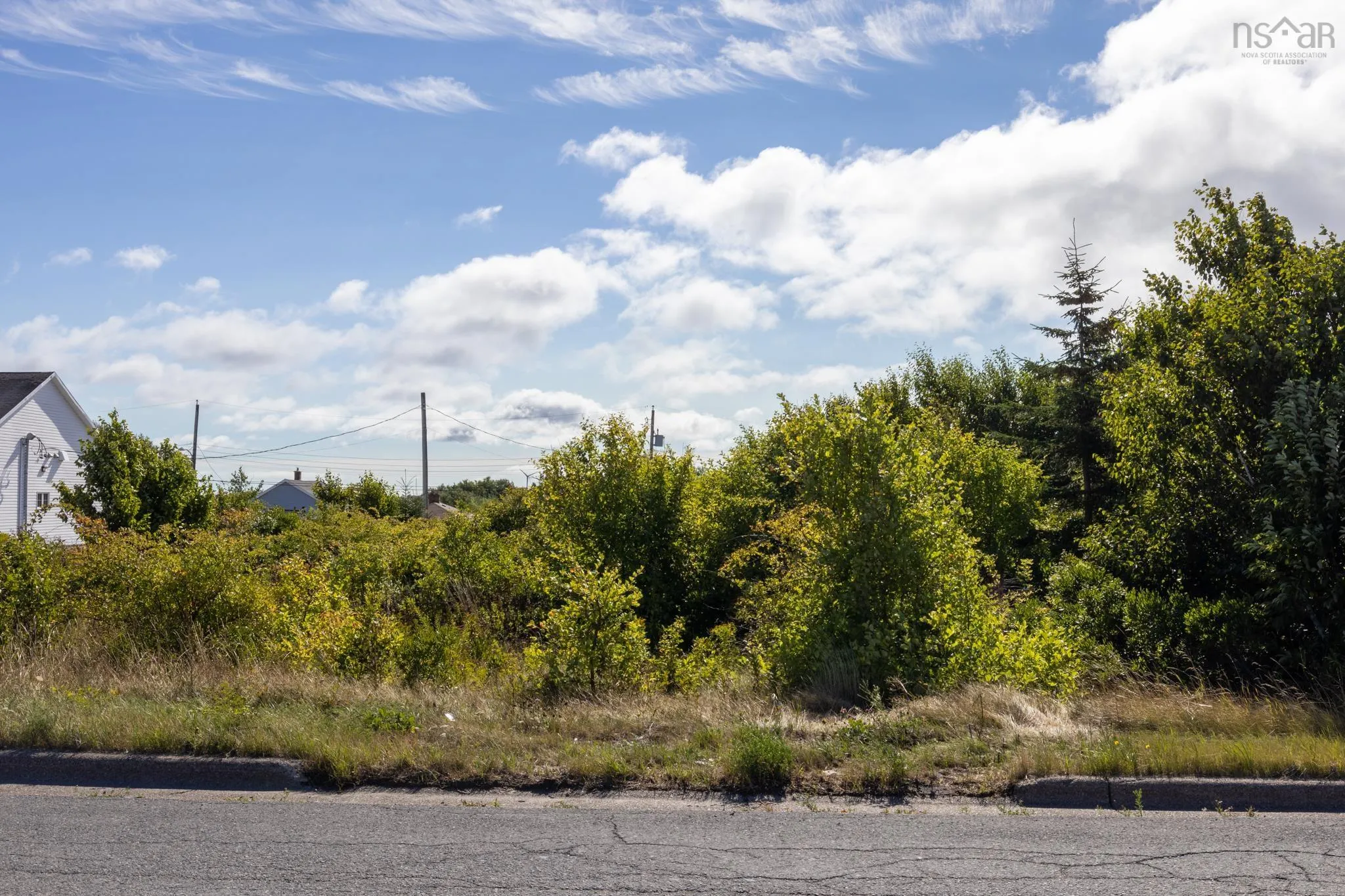 324 Convent Street, New Waterford, NS B1H 2Z1, ,Land,For Sale,Convent Street,202521763