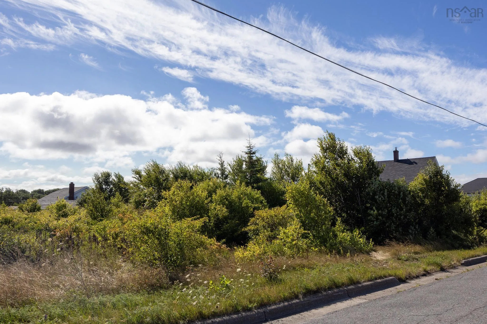 324 Convent Street, New Waterford, NS B1H 2Z1, ,Land,For Sale,Convent Street,202521763