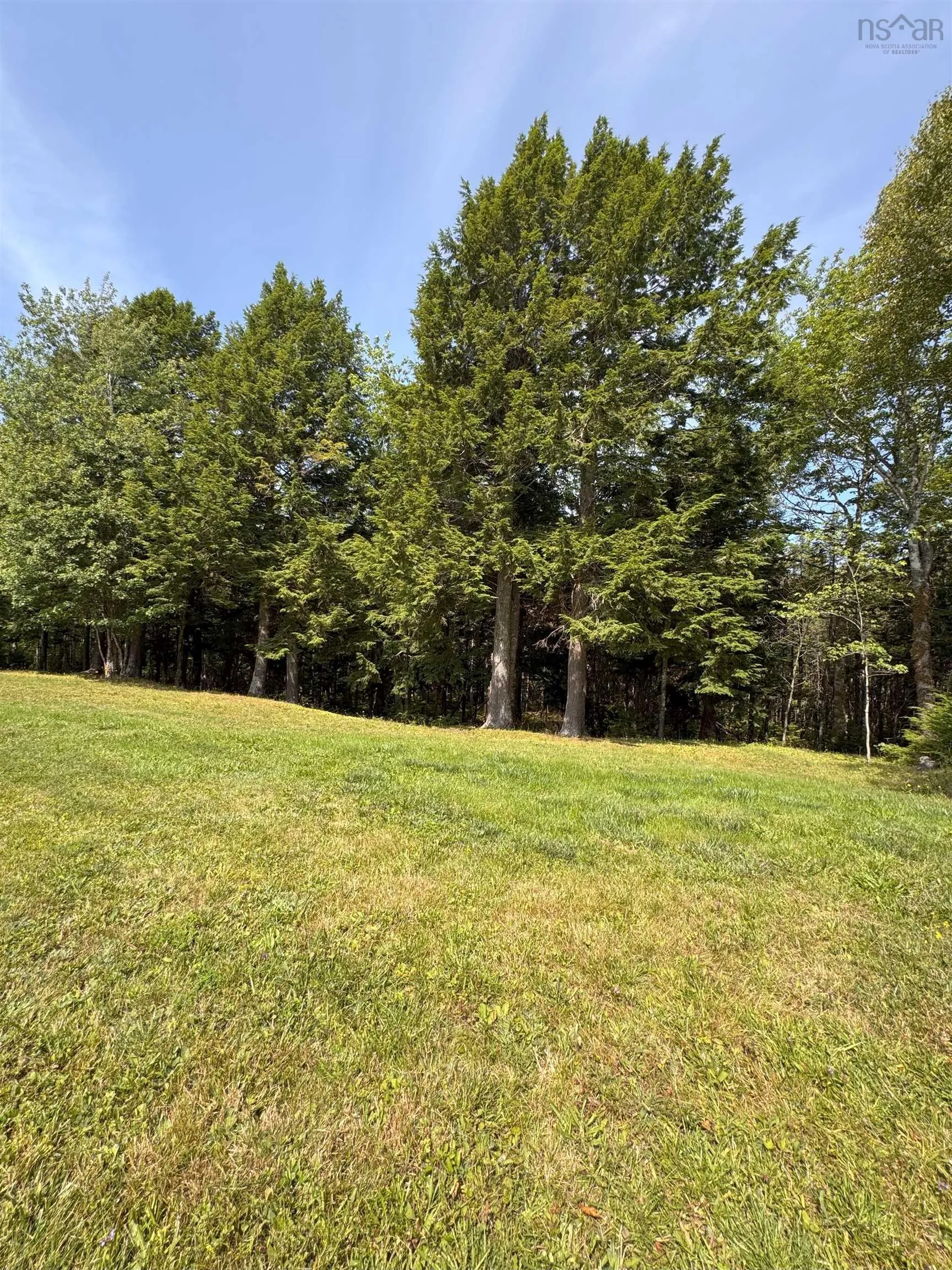1713 Loganville Road, Diamond, NS B0K 1R0, 2 Bedrooms Bedrooms, ,2 BathroomsBathrooms,Residential,For Sale,Loganville,202520011