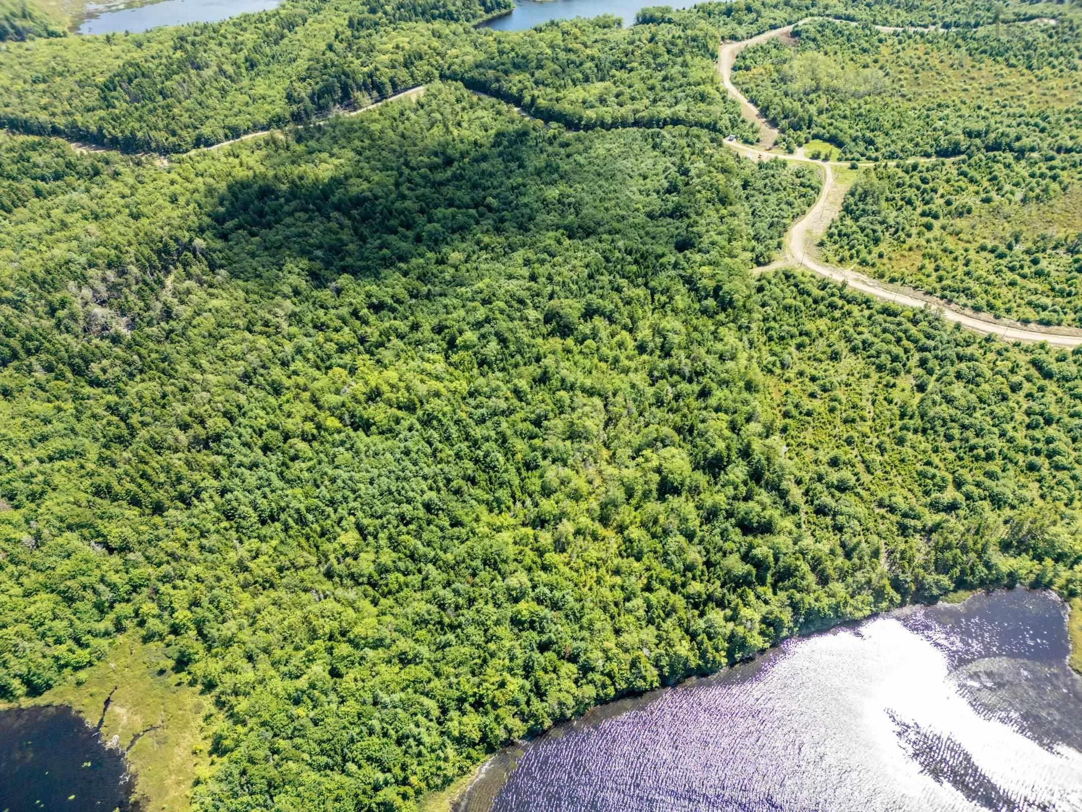 140 Henriette Bridge Road, Concession Ns B0w 1m0, ,Land,For Sale,Henriette Bridge Road,202420594