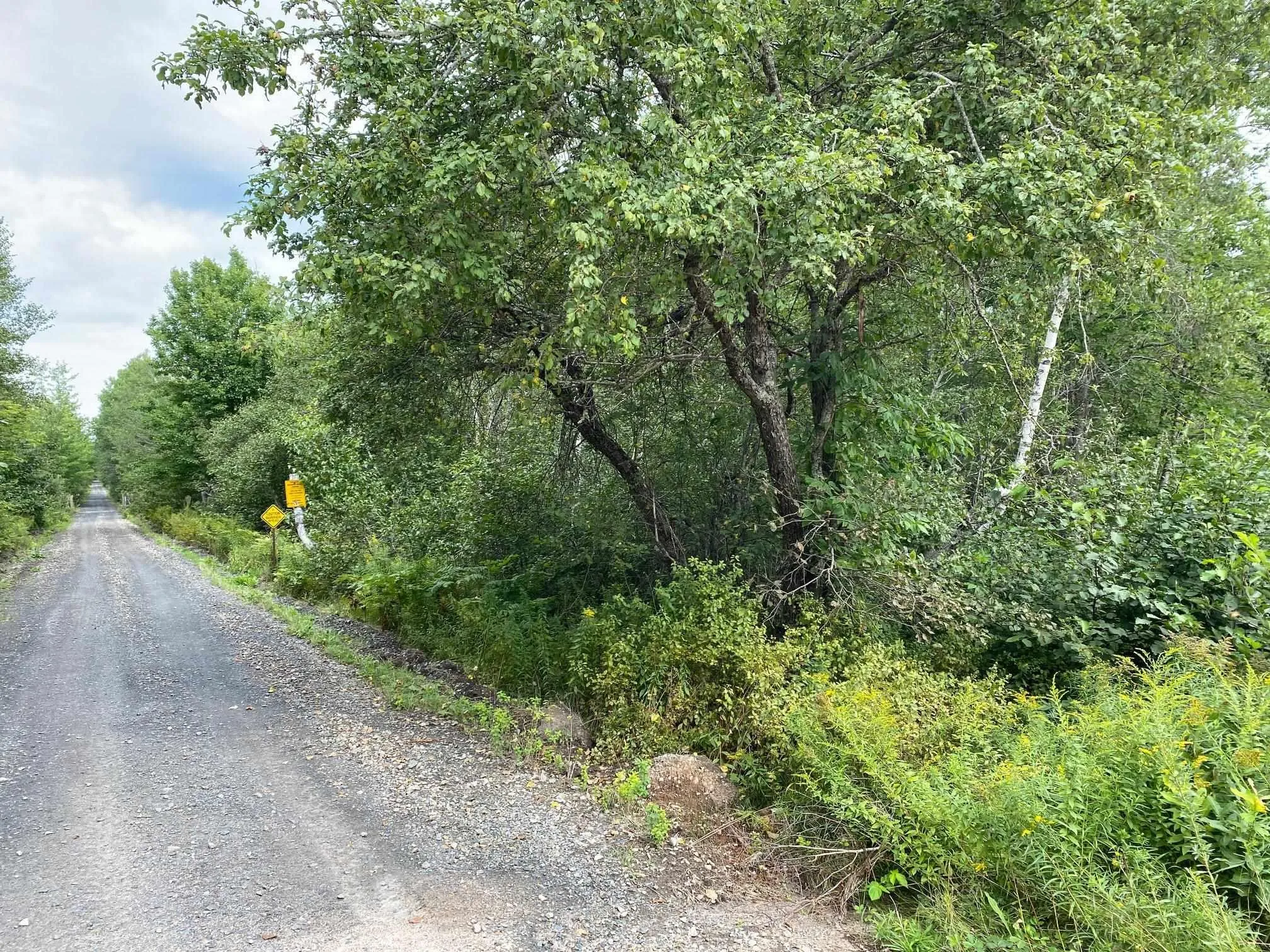 Pid#05173786 Hastings Road, Springfield, NS B0R 1H0, ,Land,For Sale,Pid#05173786 Hastings,202523206