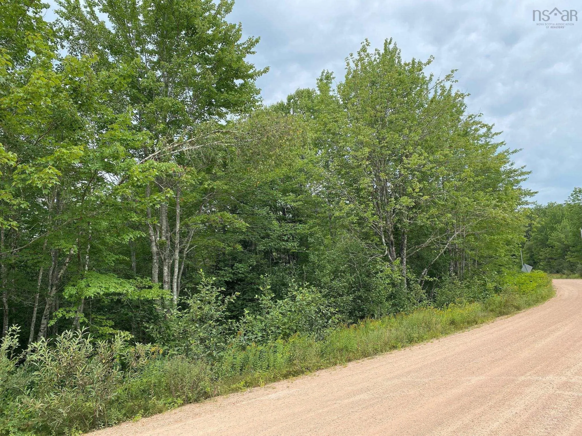 Pid#05173786 Hastings Road, Springfield, NS B0R 1H0, ,Land,For Sale,Pid#05173786 Hastings,202523206