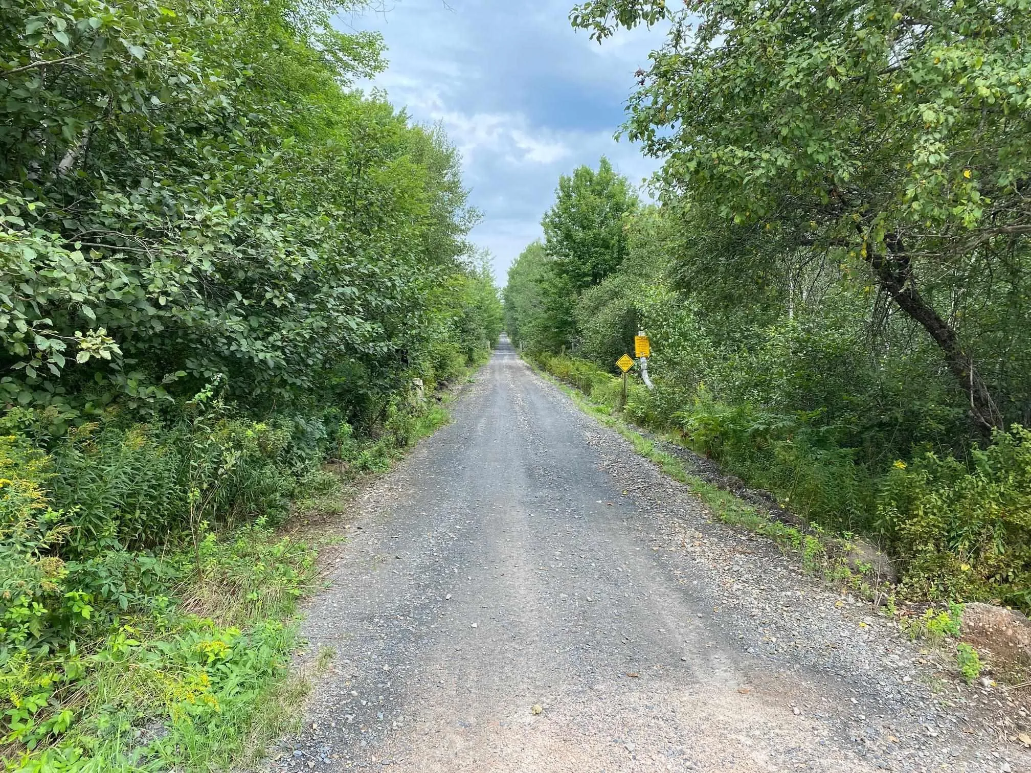 Pid#05173786 Hastings Road, Springfield, NS B0R 1H0, ,Land,For Sale,Pid#05173786 Hastings,202523206