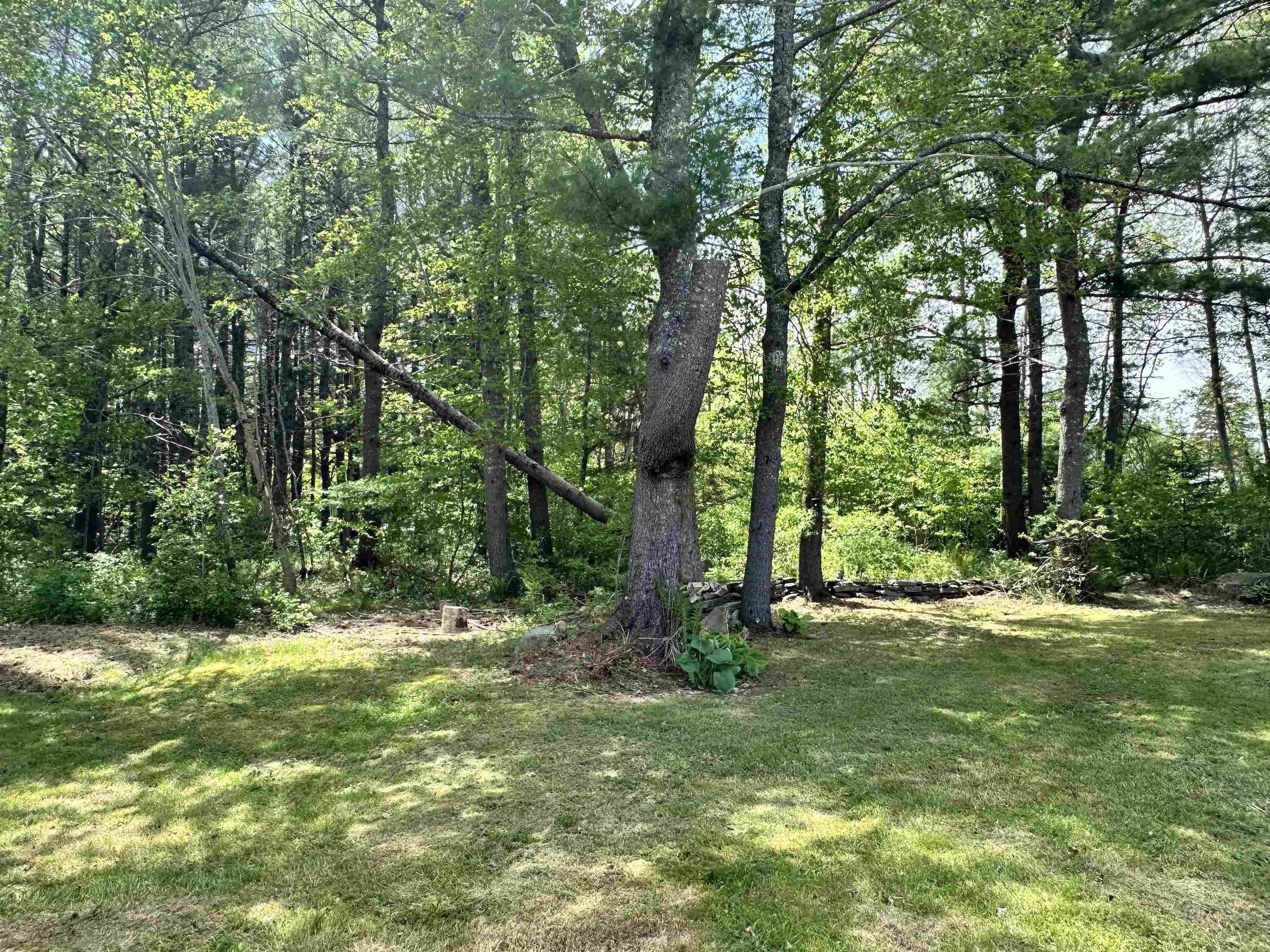 83 Glenwood Street, Milton, NS B0T 1P0, 3 Bedrooms Bedrooms, ,1 BathroomBathrooms,Residential,For Sale,Glenwood,202522482