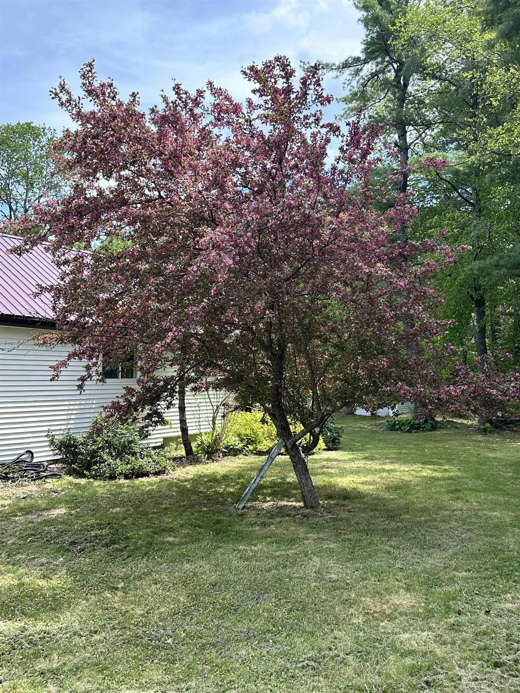 83 Glenwood Street, Milton, NS B0T 1P0, 3 Bedrooms Bedrooms, ,1 BathroomBathrooms,Residential,For Sale,Glenwood,202522482