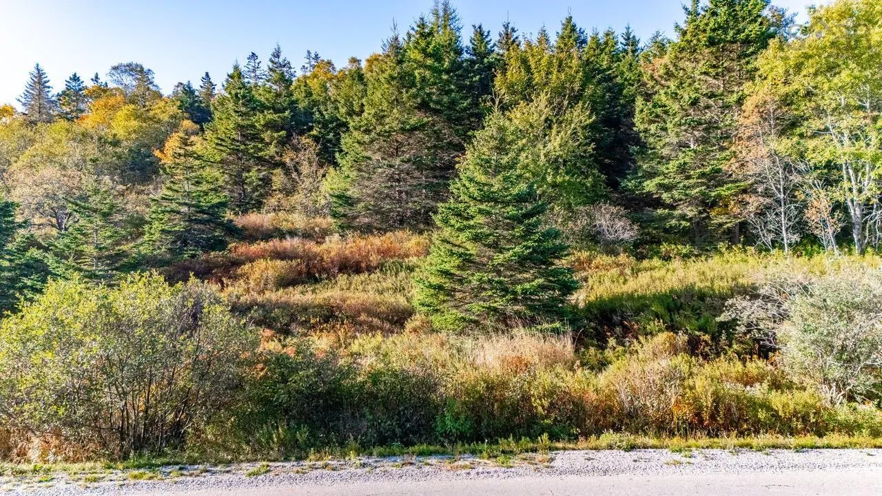 Lot Greenville Road, Yarmouth, NS B5A 5J6, ,Land,For Sale,Greenville,202525608